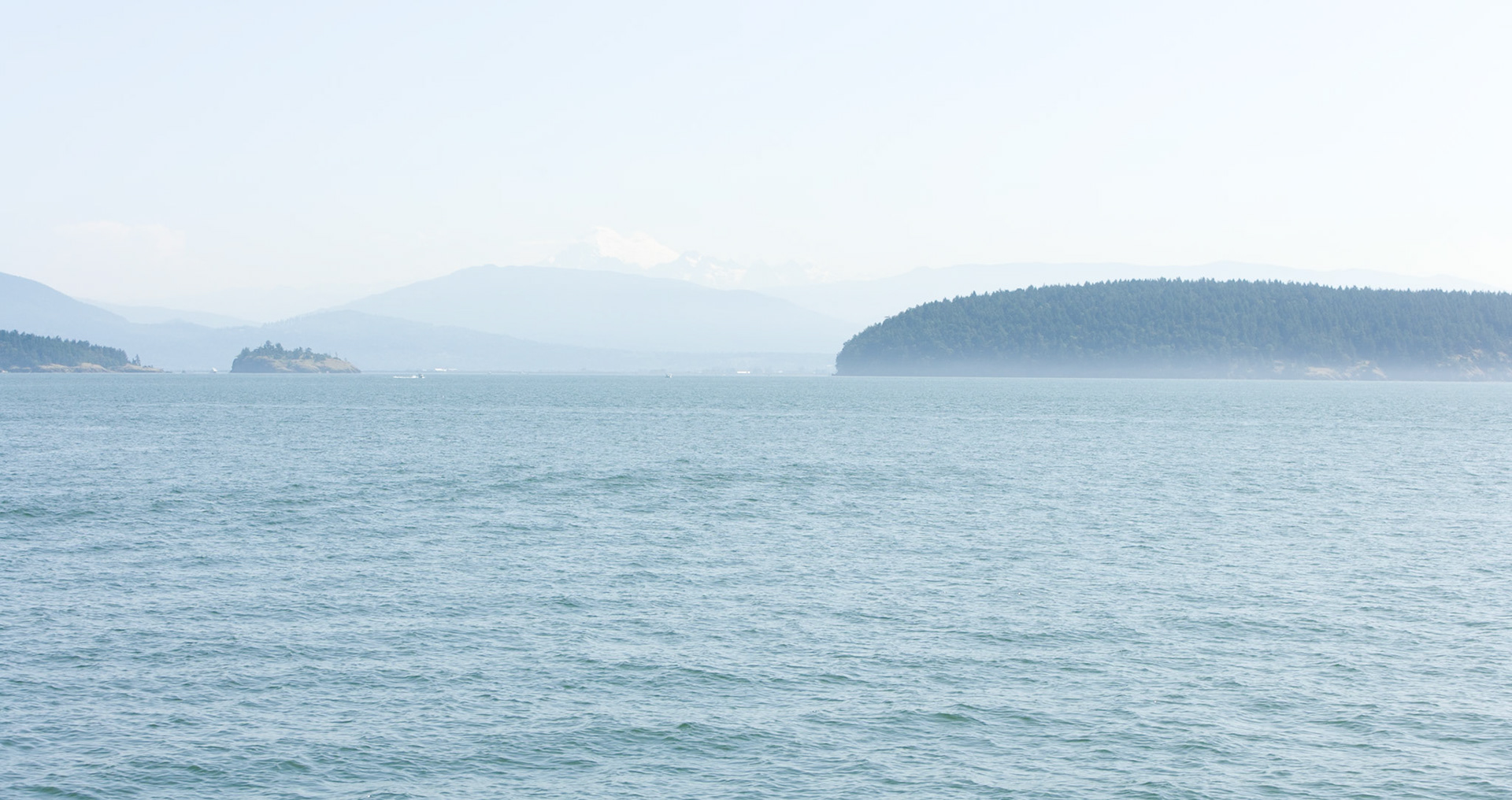 Orca Whales Tour from Anacortes to San Juan Island Washington with Mt Baker in the background, USA, TECHNICAL ISSUES