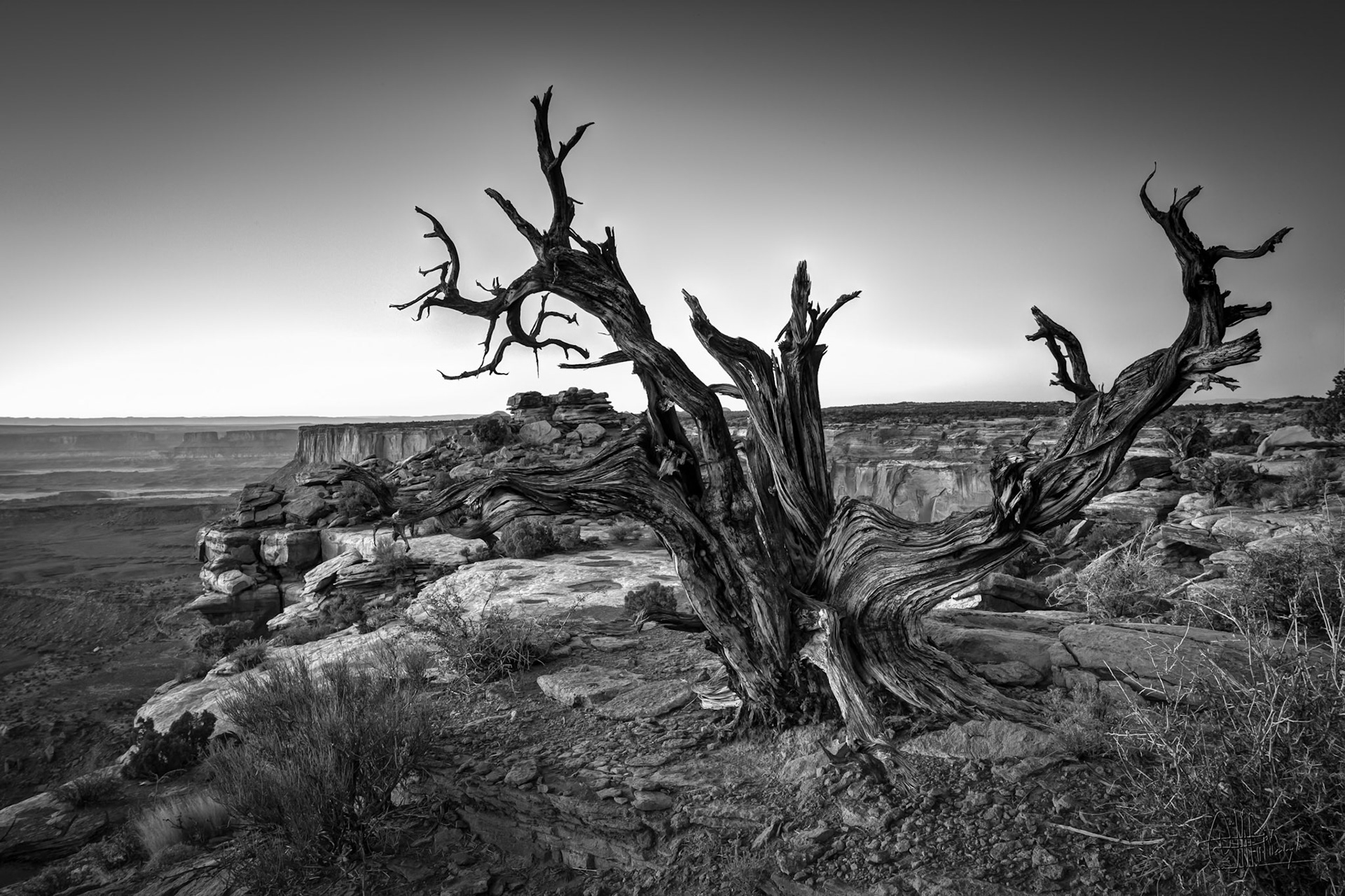 Canyonlands National Park, Island in the Sky, Grand View Point, Utah, USA