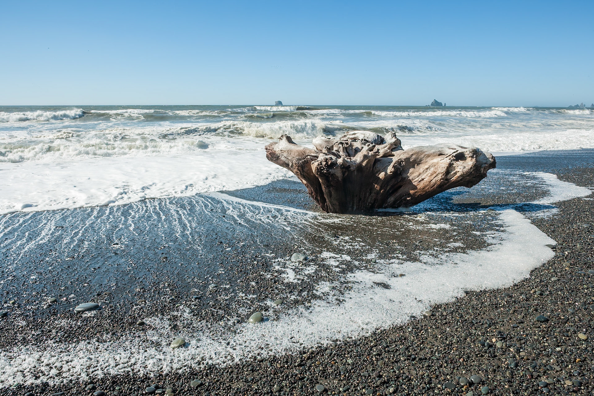 Driftwood at Rialto Beach near La Push at Olympic National Park, Washington, USA