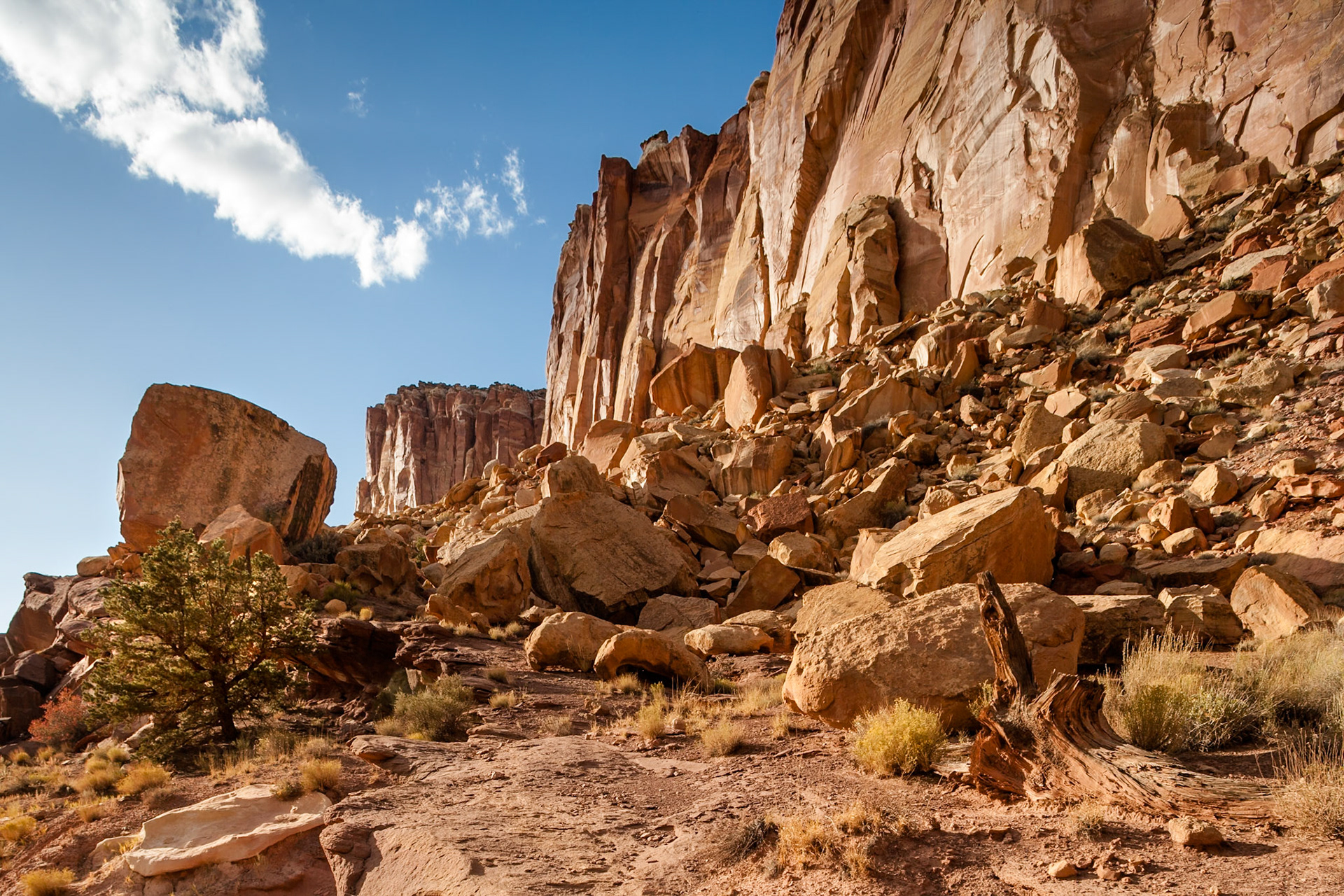 Grand Wash, Capitol Reef Nat'l Park, Utah, USA