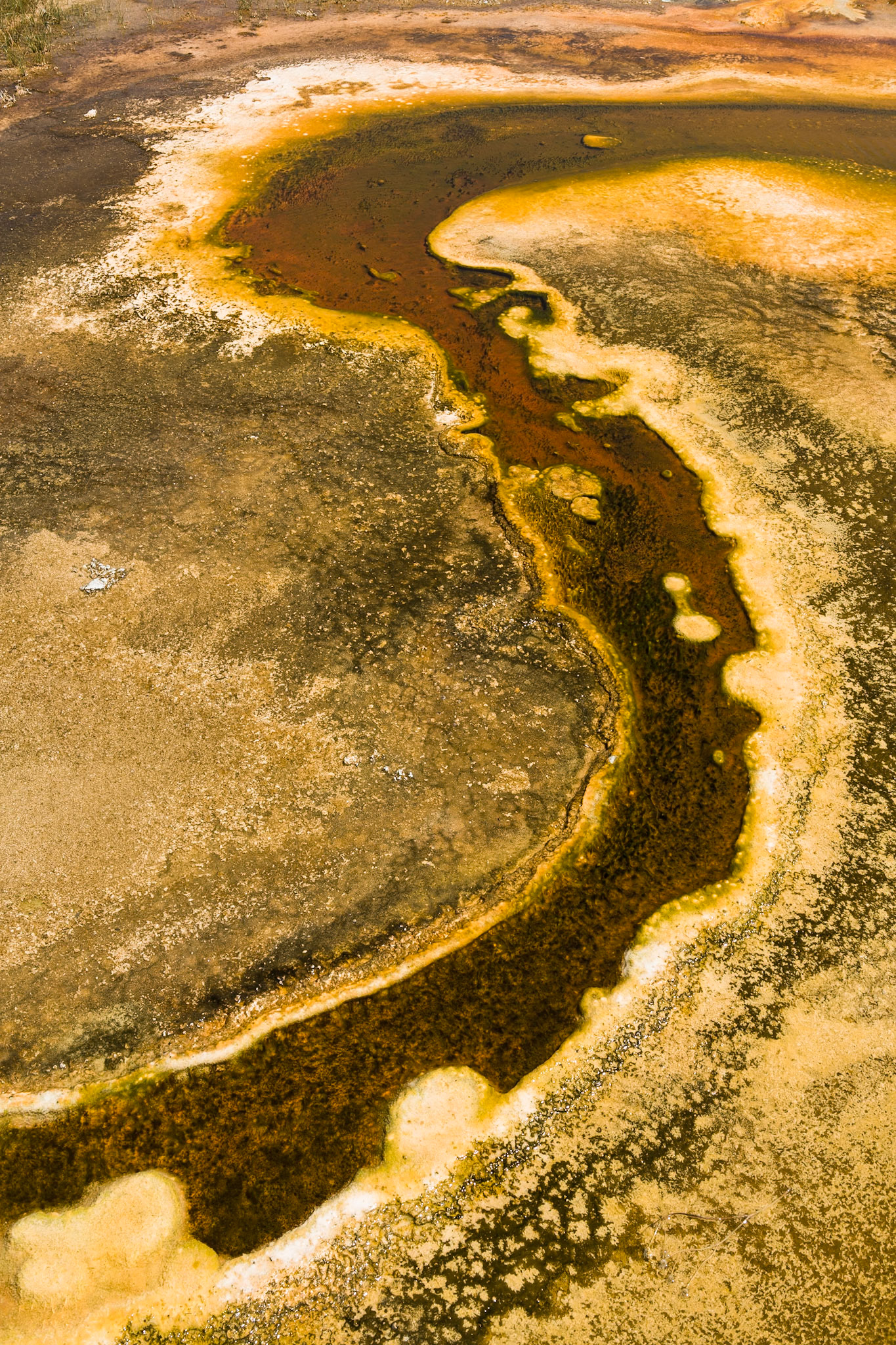 Very Graphic Result of chemicals in Yellowstone National Park near Old Faithfull Geyser, WY, USA
