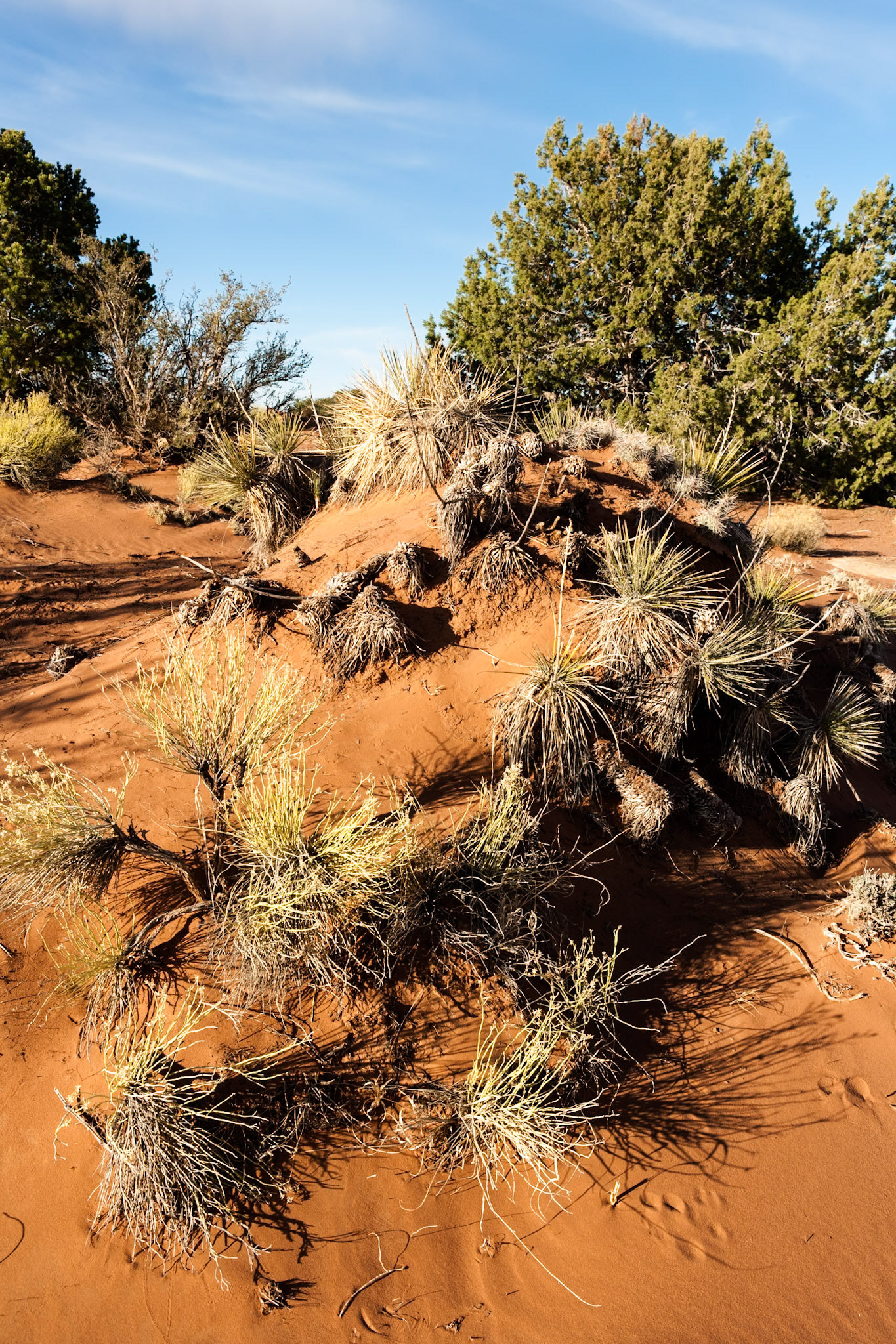 Sunrise at Canyon de Chelley, Tsegi Overlook, Arizona, USA