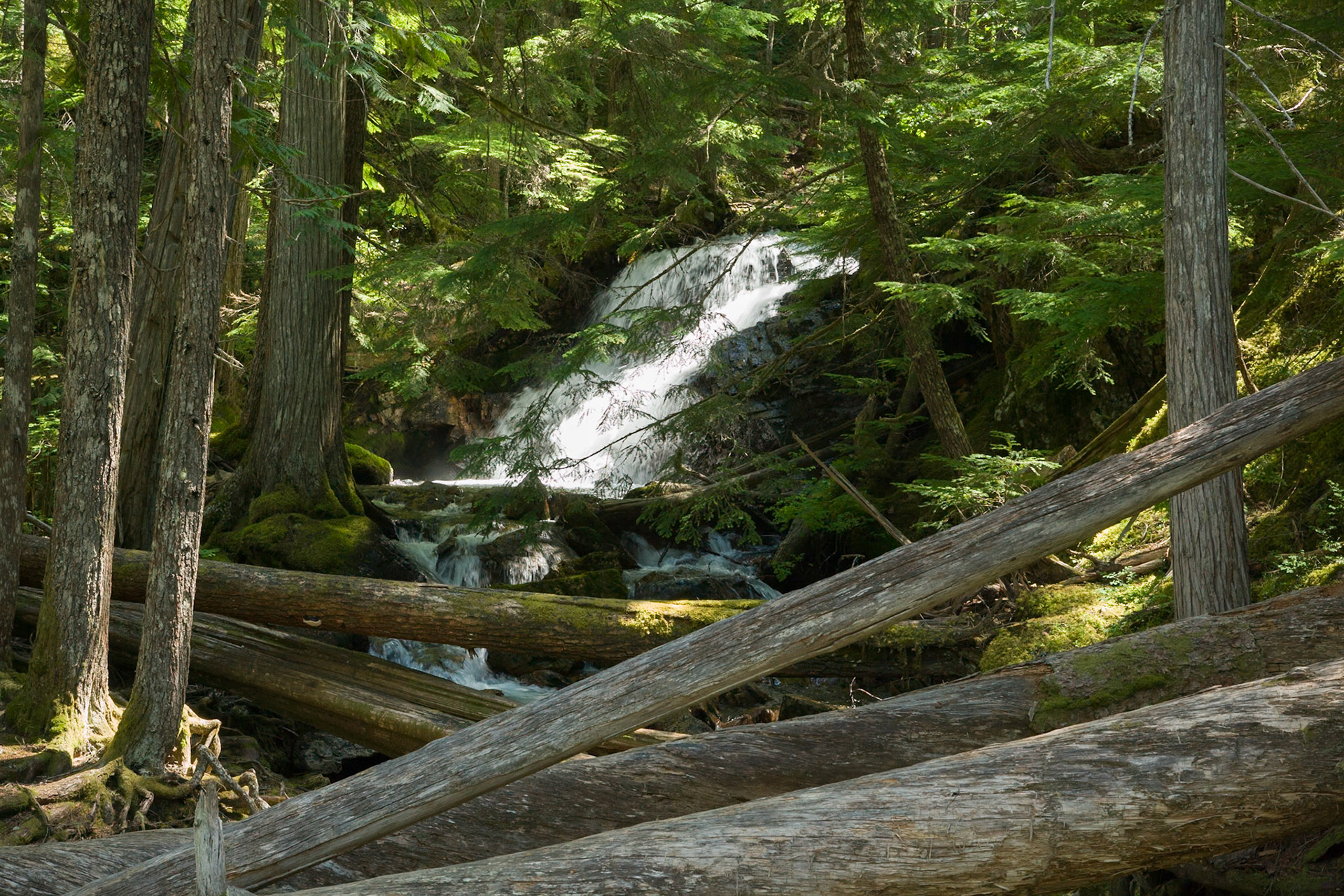 Hike to the Ross Dam, North Cascades NP, WA, USA