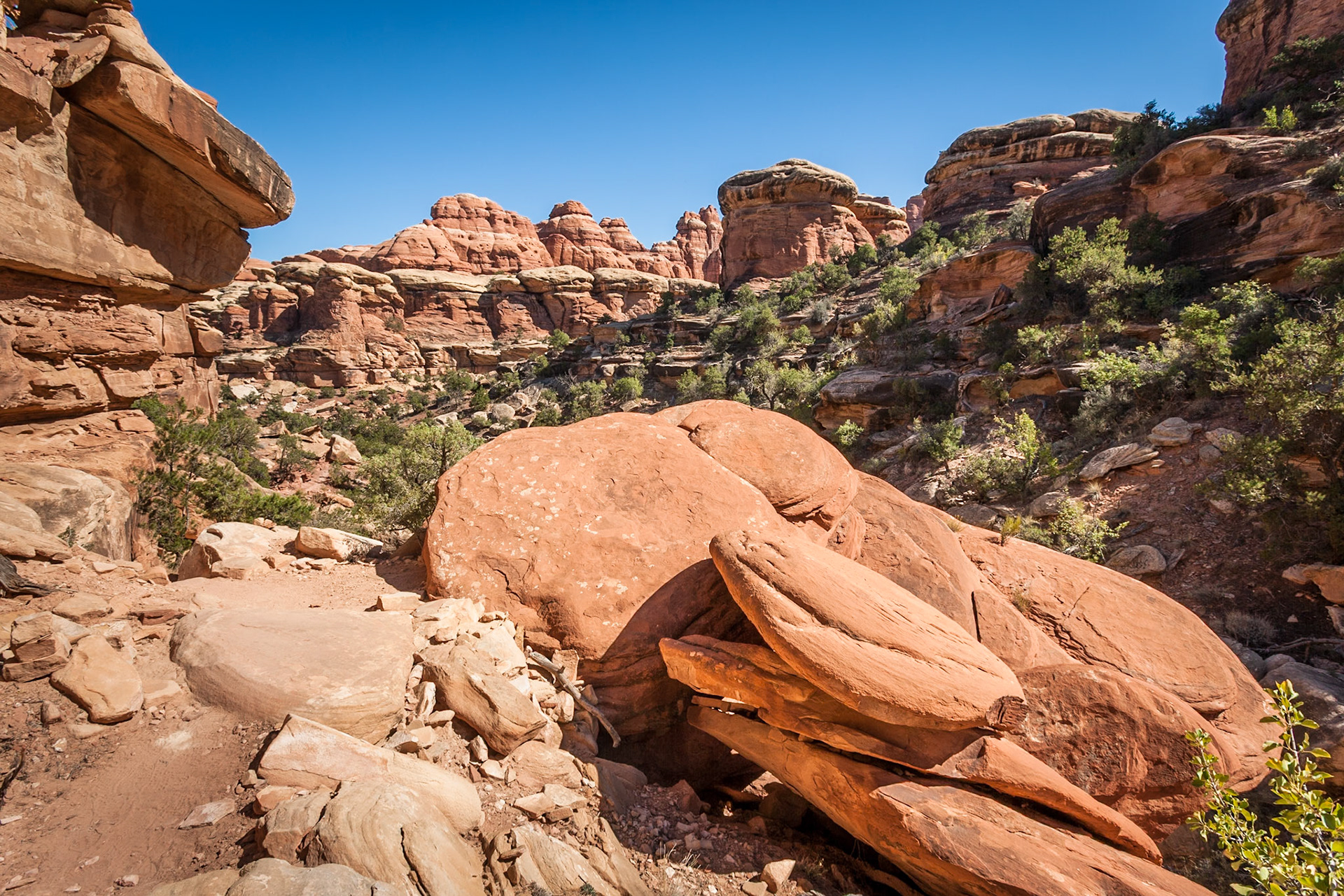 Squaw Flat Loop Trail, Canyon Lands NP, UT
