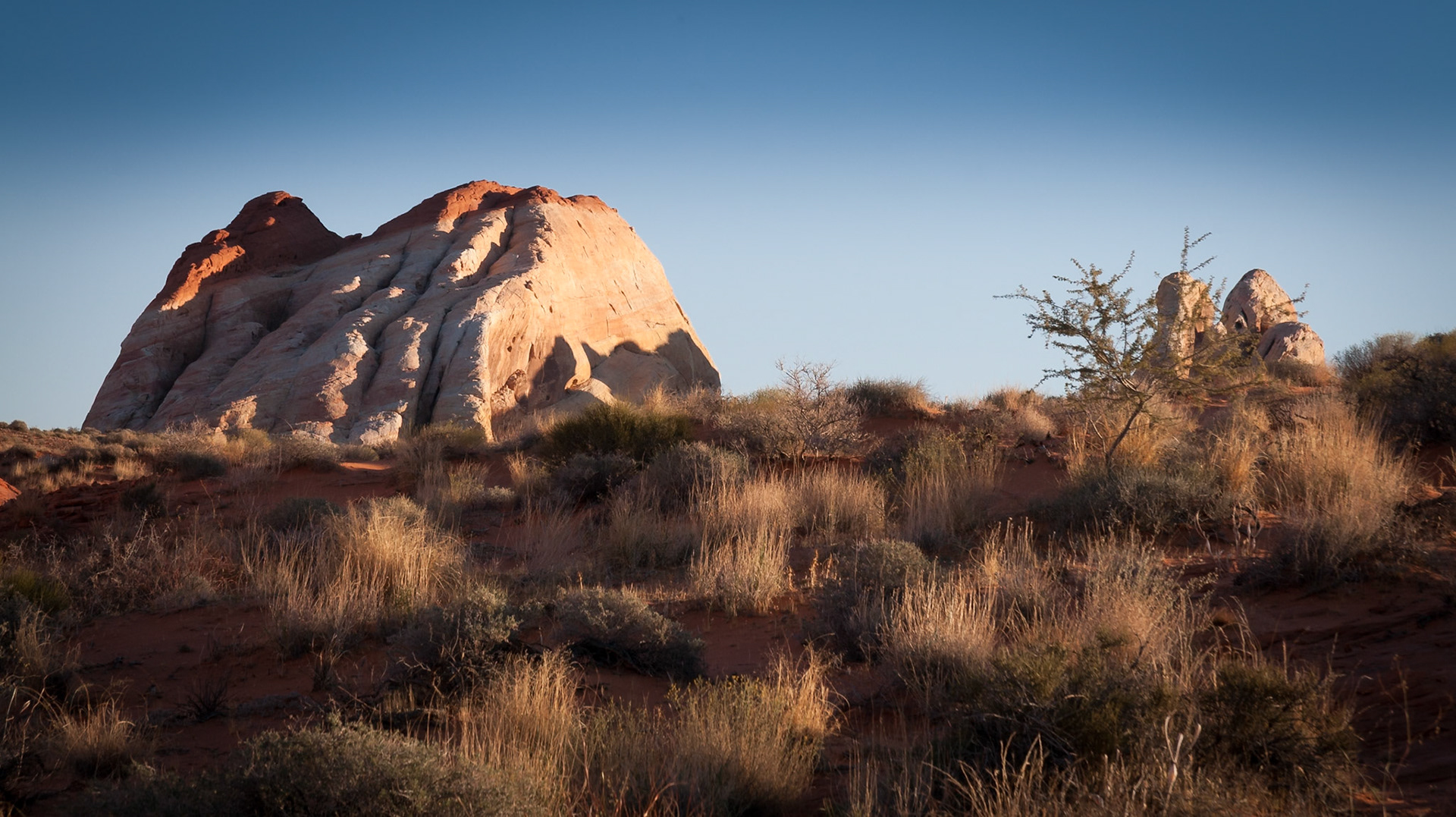 Big rock at sunset at Valley of Fire State Park, NV, USA