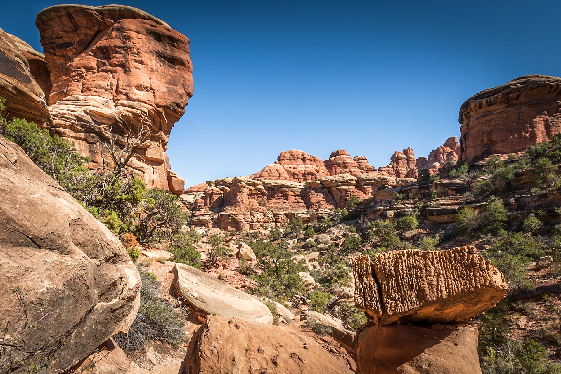Squaw Flat Loop Trail, Canyon Lands NP, UT