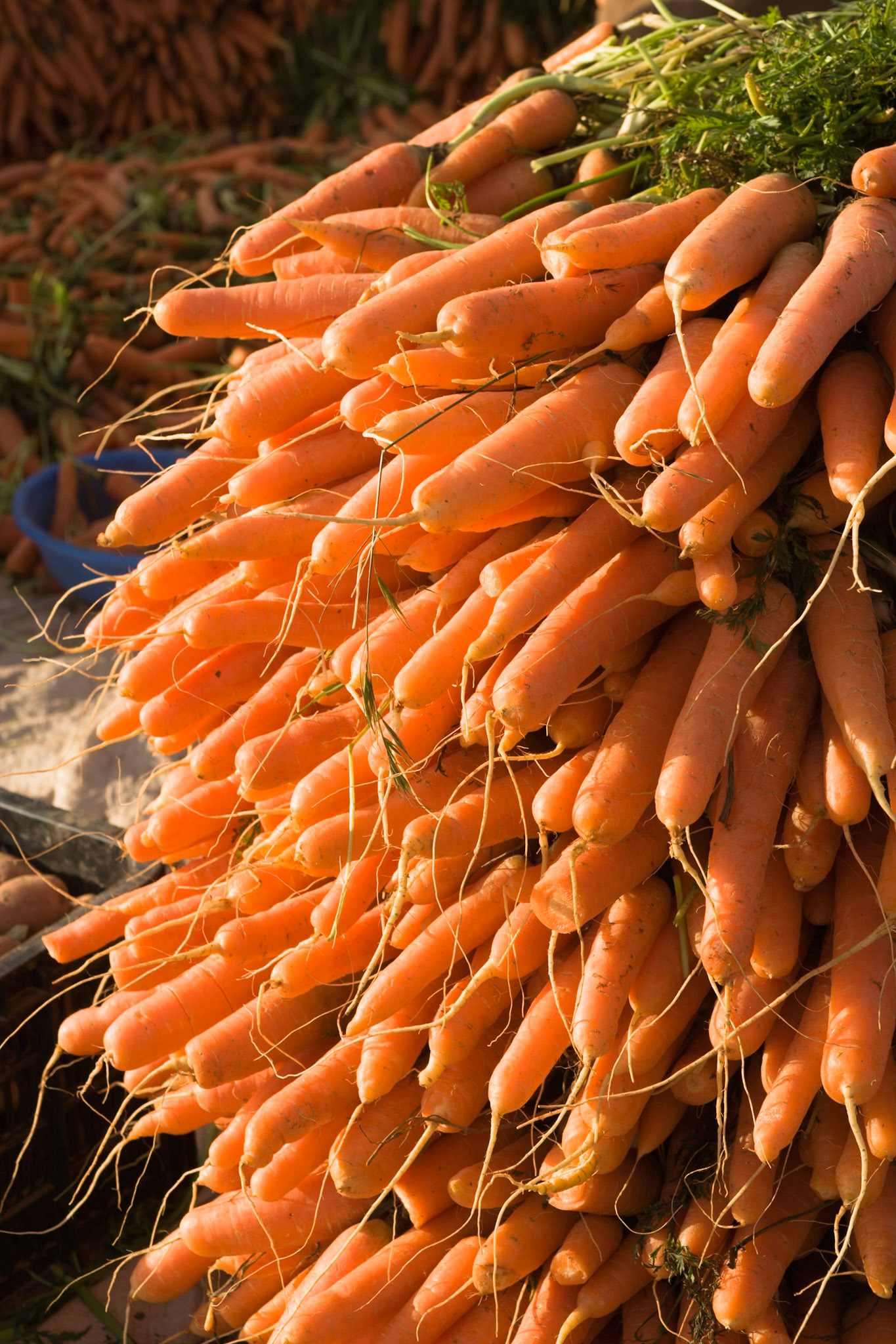 Carrots at Weekly market at Guelmim, Morocco