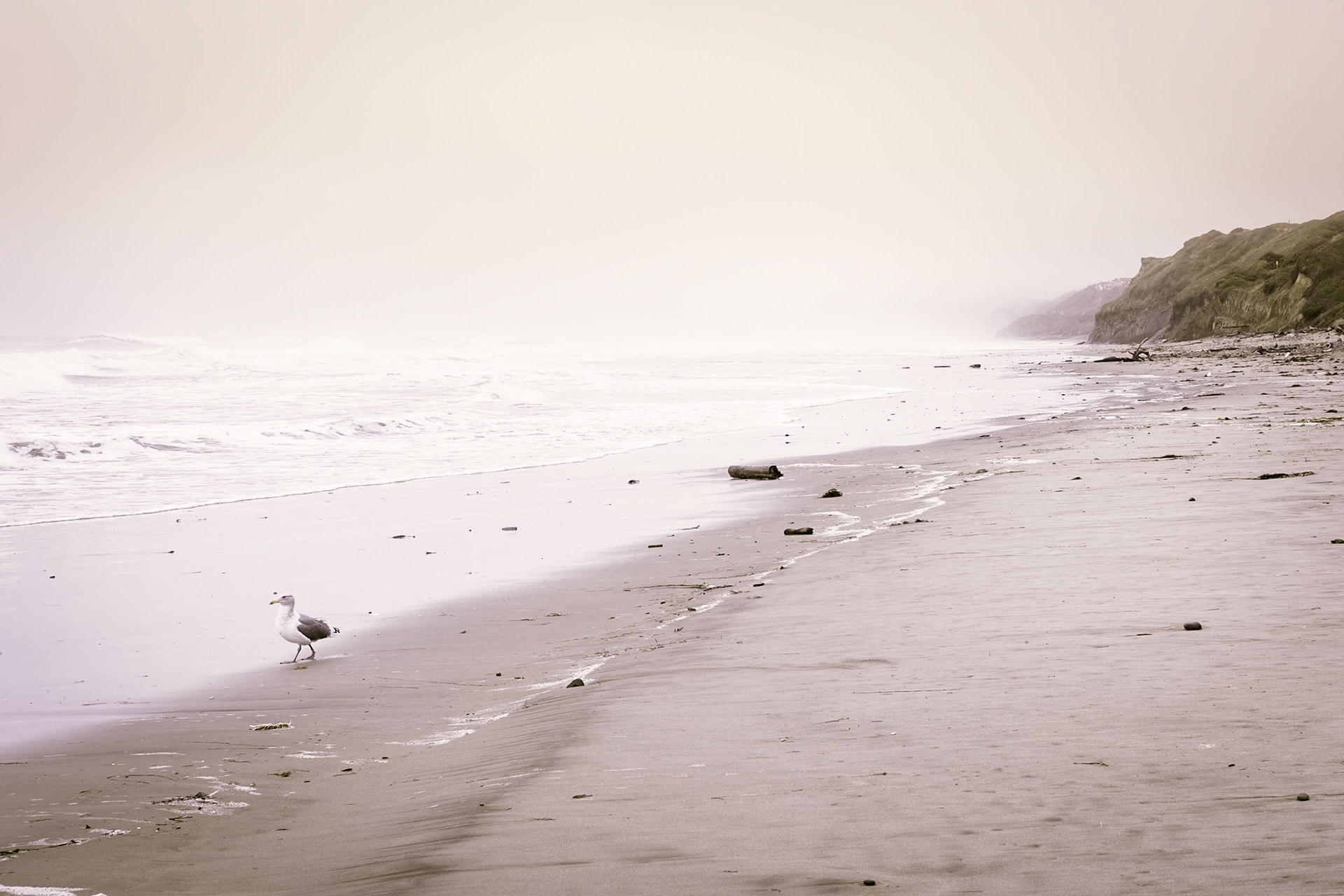 Oregon Coast Hwy 101, south of Beverly Beach