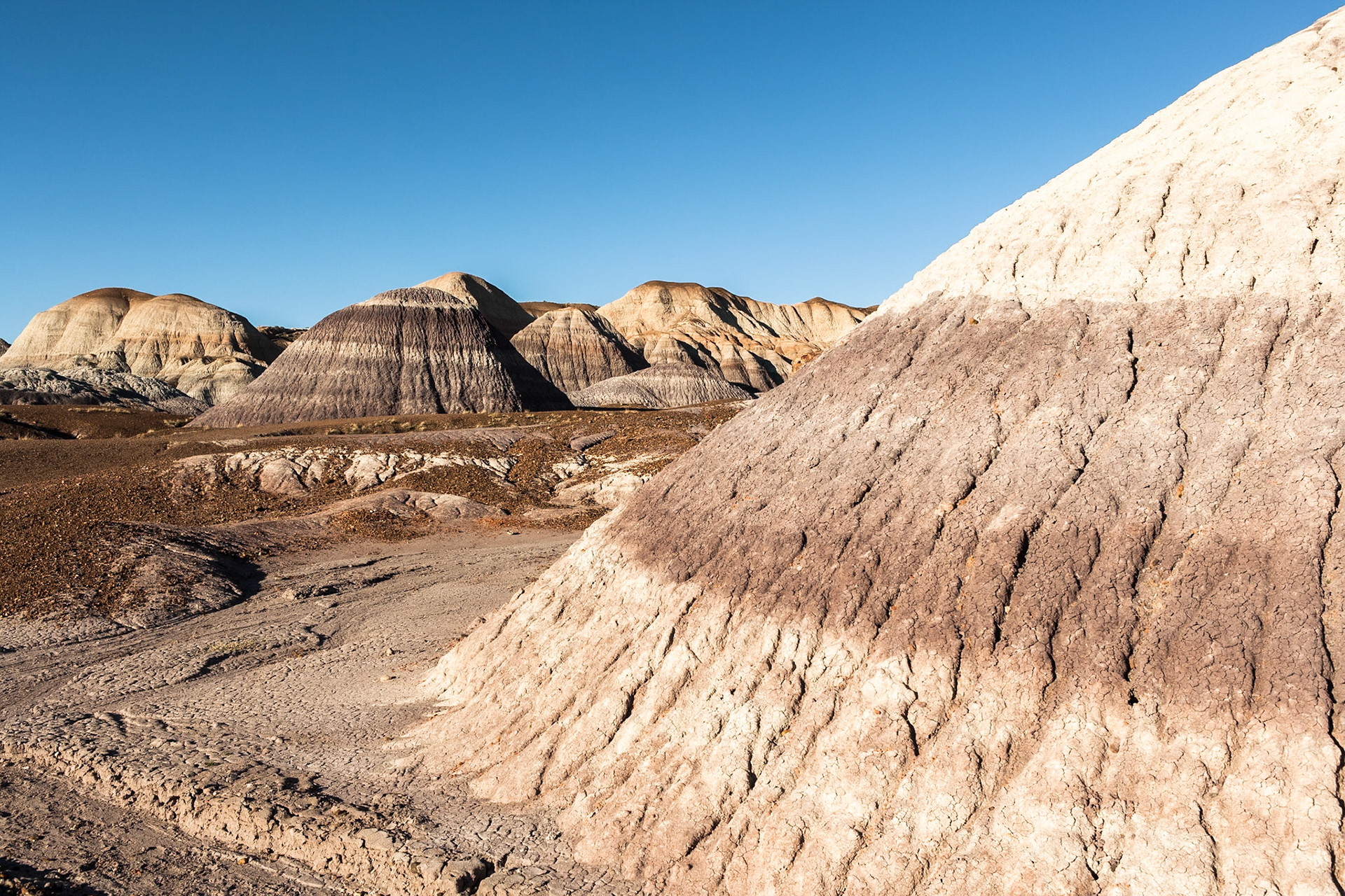 Petrified Forest National Park, Blue Mesa, AZ, USA