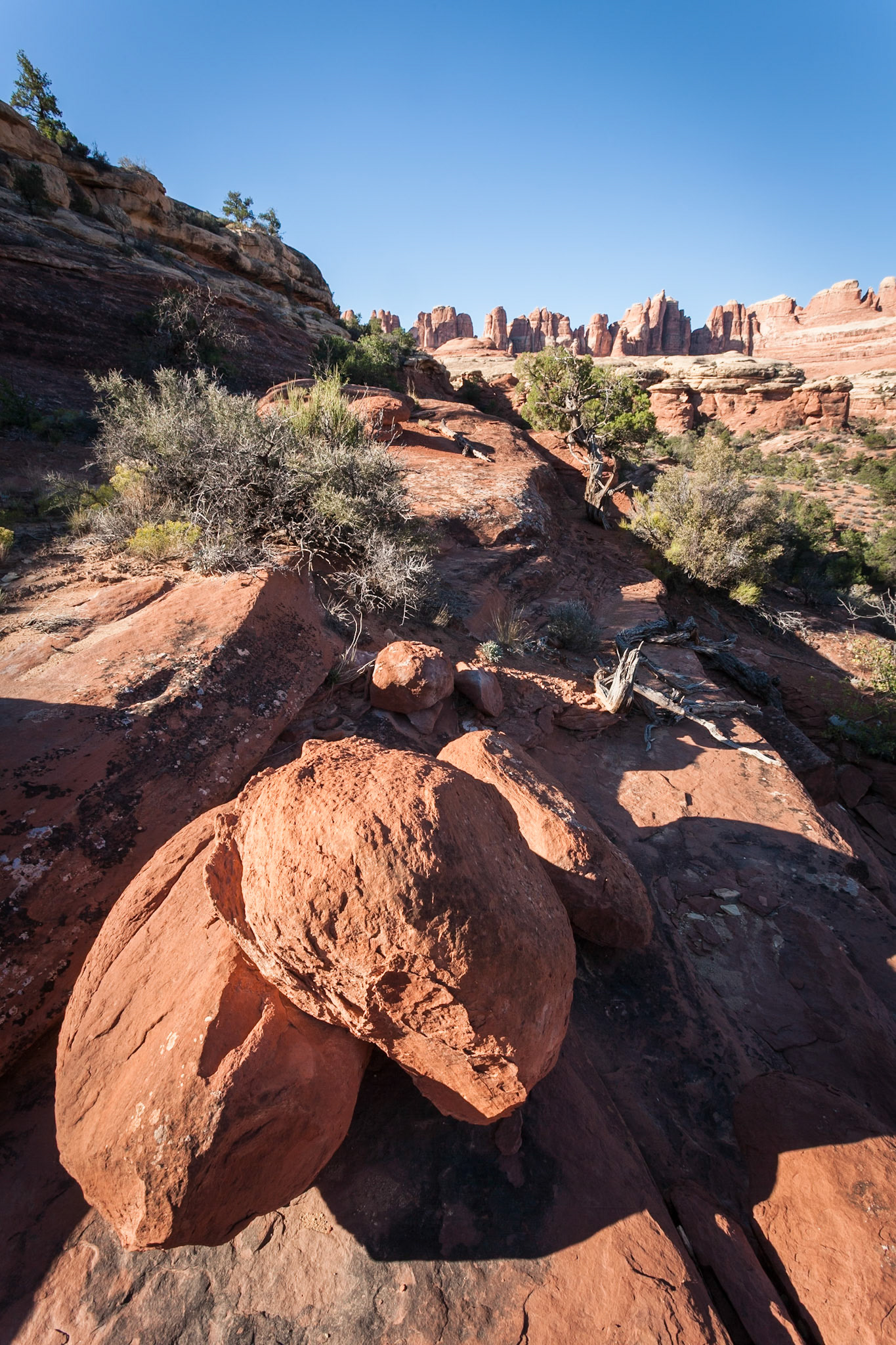 Squaw Flat Loop Trail, Canyon Lands NP, UT