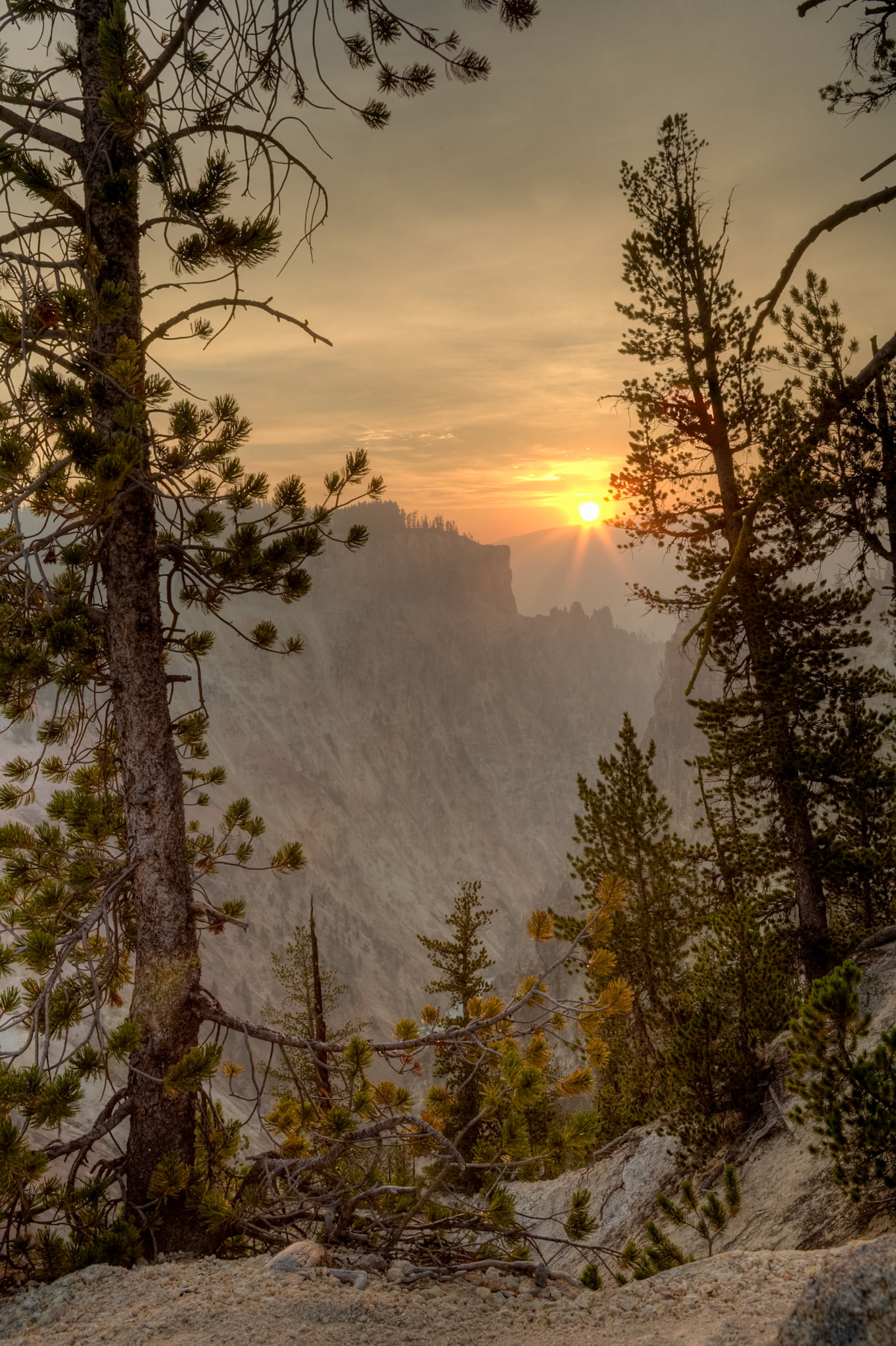 Forest fire smoke dimms the sun at Sunrise in the Grand Canyon of Yellowstone National Park, Wyoming