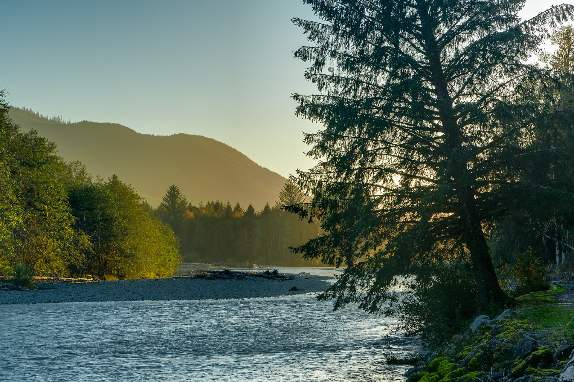Hoh River at Olympic National Park, Washington, USA