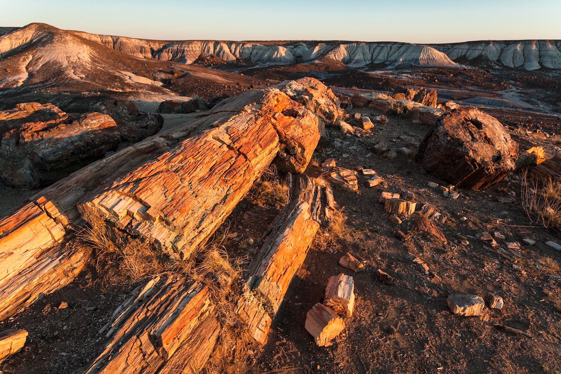Sunset at Petrified Forest National Park, Crystal Forest, AZ, USA