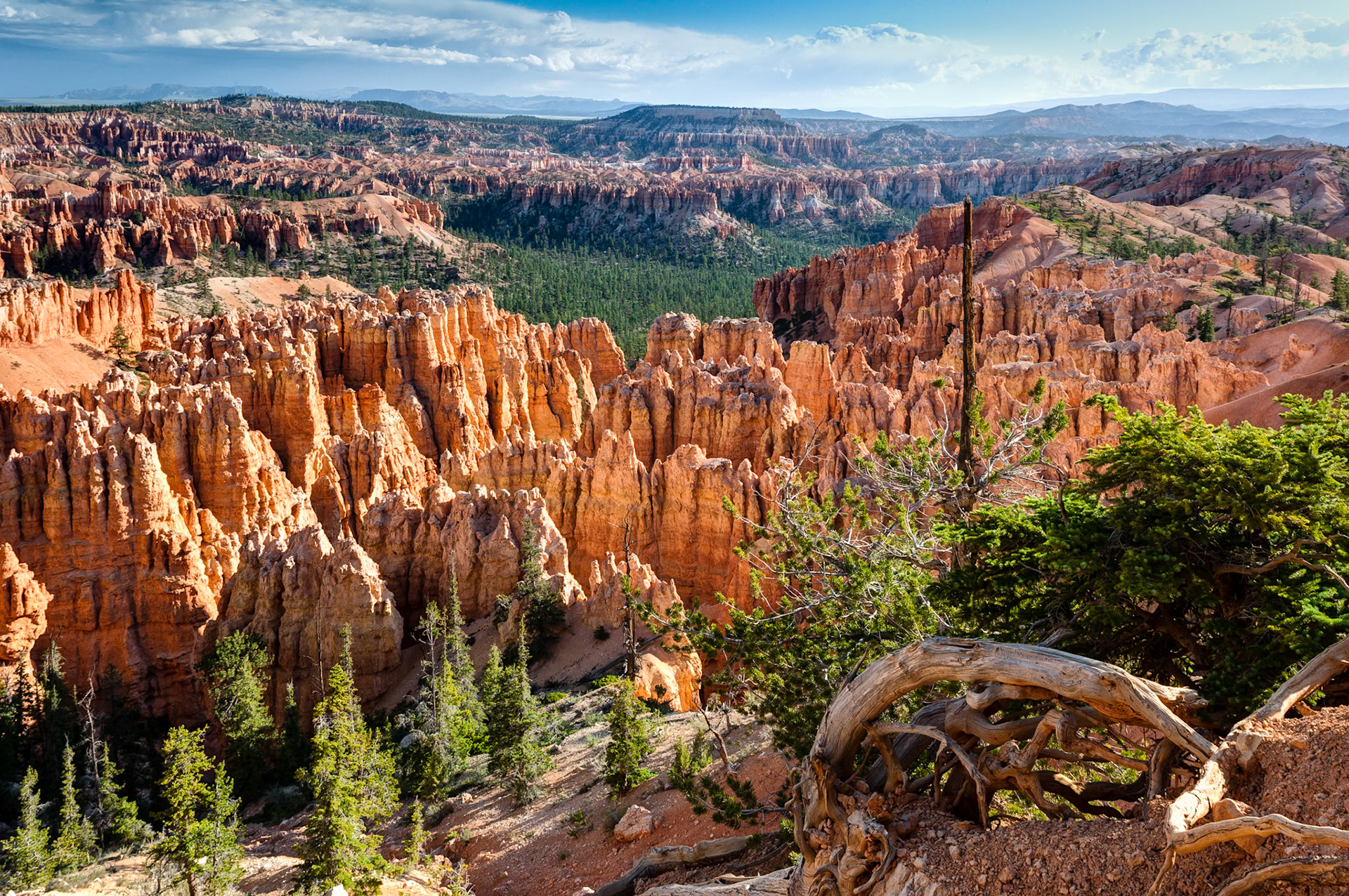 Bryce Canyon, Bryce Point,  UT, USA