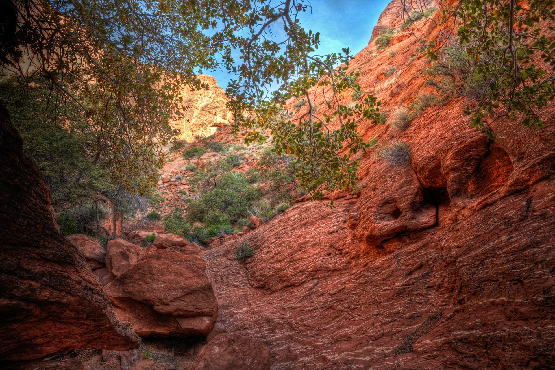 Red Cliffs Recreation Area at Dicks Canyon, UT, USA