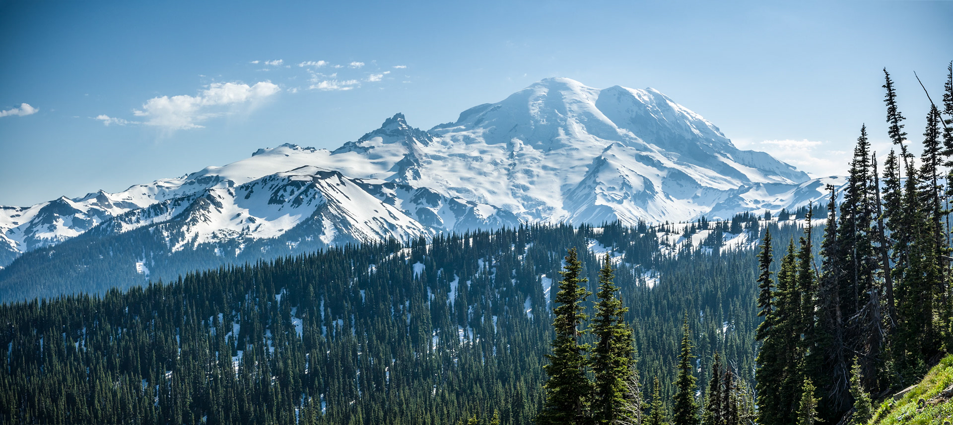Mount Rainier Nat'l Park Sunrise Point, WA, USA