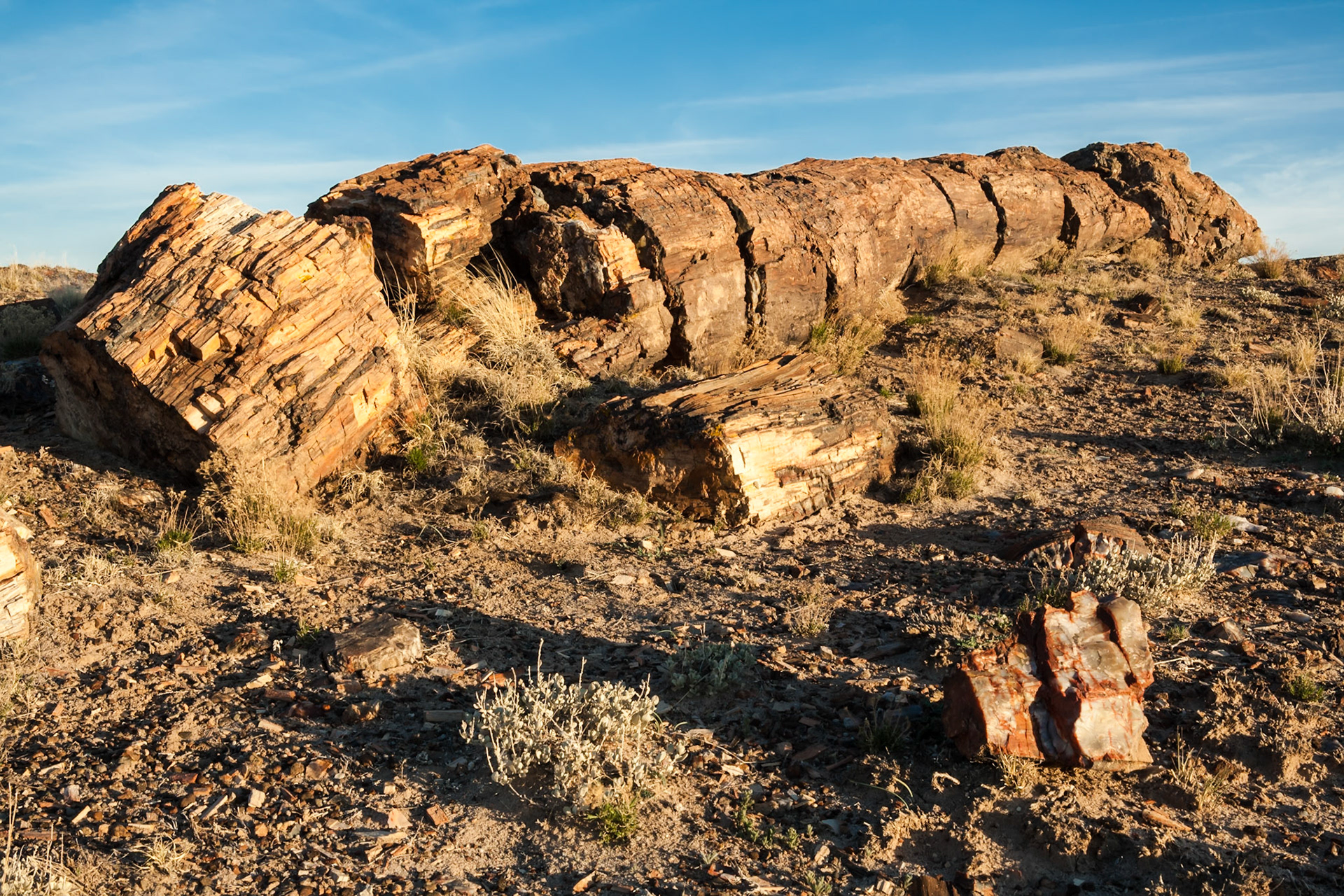 Sunset at Petrified Forest National Park, Crystal Forest, AZ, USA