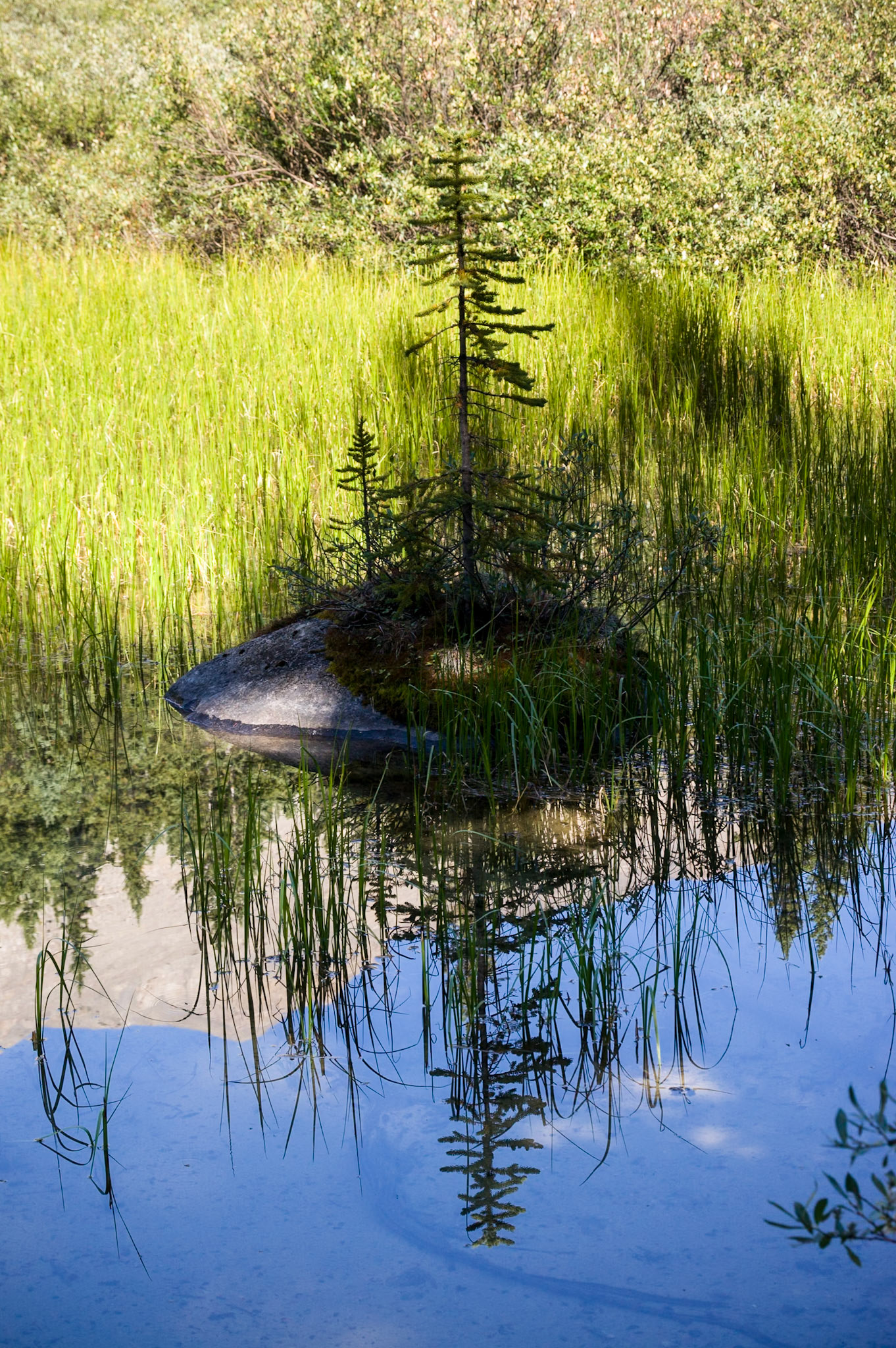 reflections in Mountain Lake in Jasper Nat'l Park, Alberta, CA