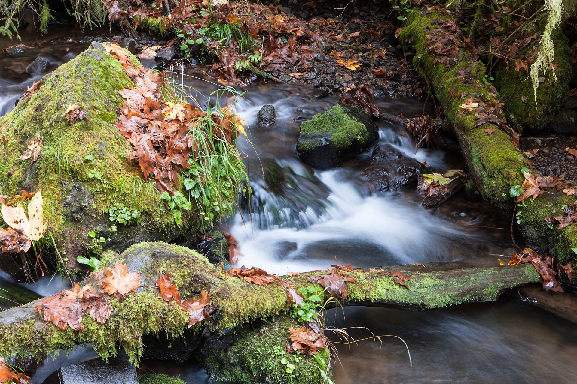 River at Munson Creek Falls in Autumn, OR, USA