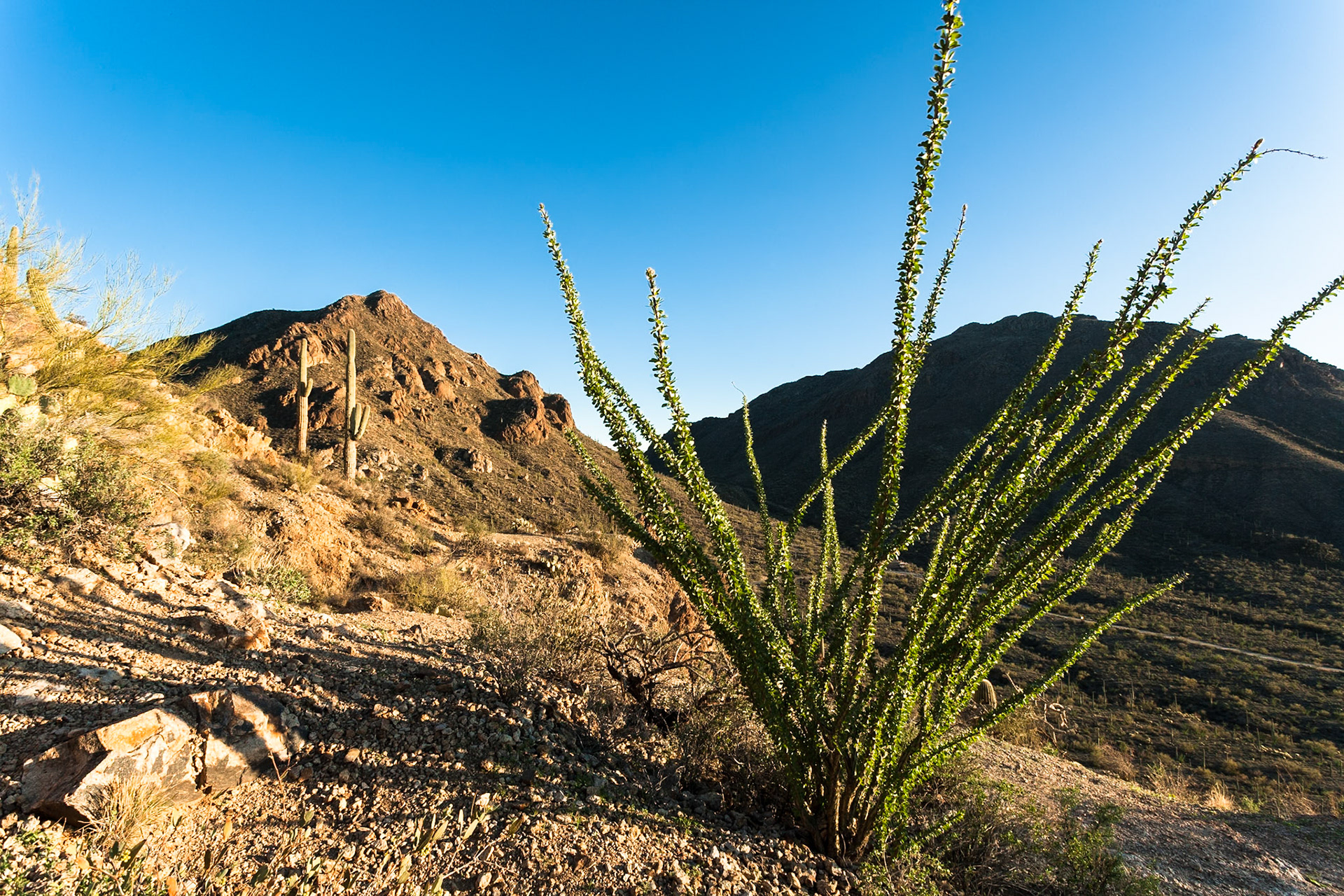 Tucson Mountain Park at the Gate Pass at sunset, Arizona, USA