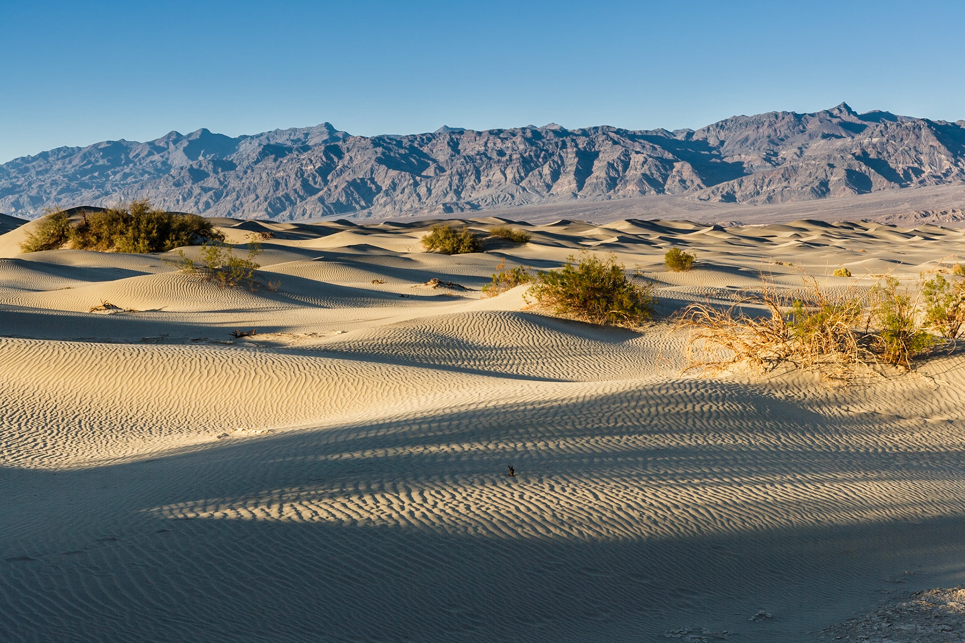 Sunset at Mesquite Flat Sand Dunes, Death Valley, California, USA