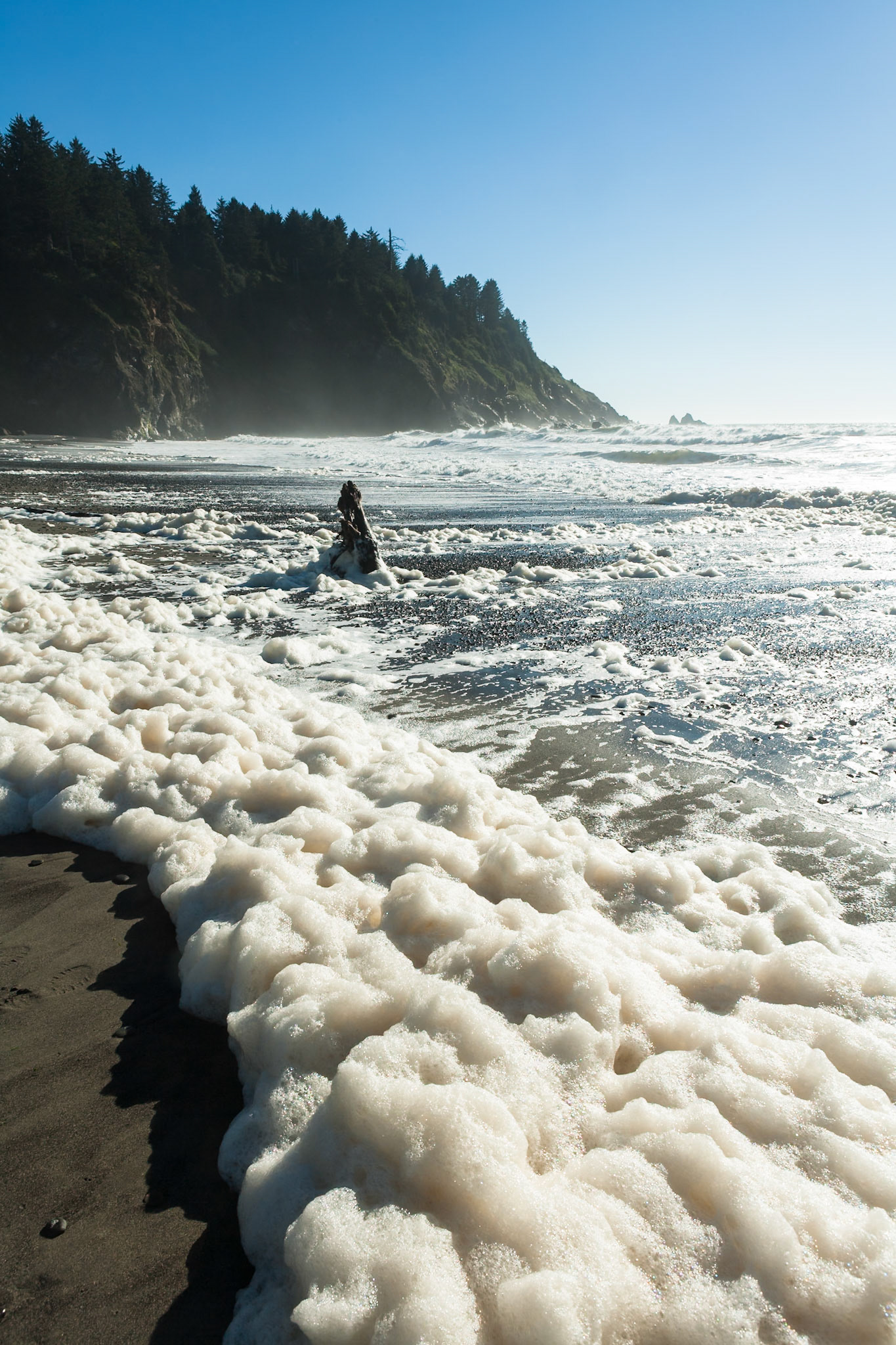 Sea Foam at First Beach near La Push, Olympic National Park, Washington, USA