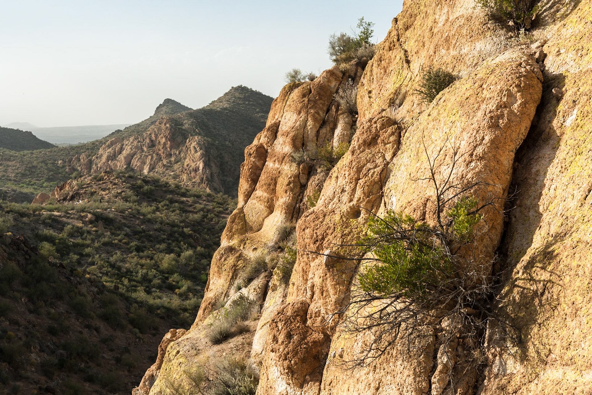 Tonto National Forest near Lost Dutchman State Park, AZ, USA
