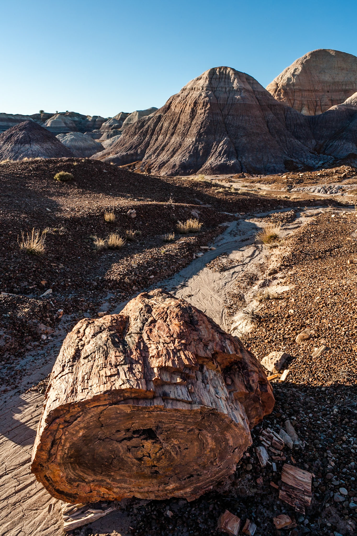 Sunset at Petrified Forest National Park, Blue Mesa, AZ, USA