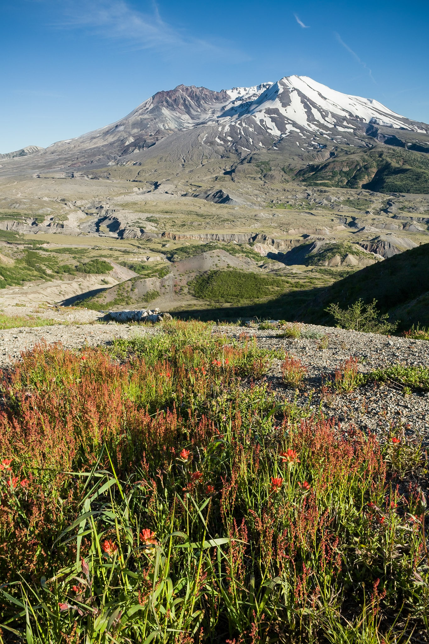 Mount St Helene, WA, USA,