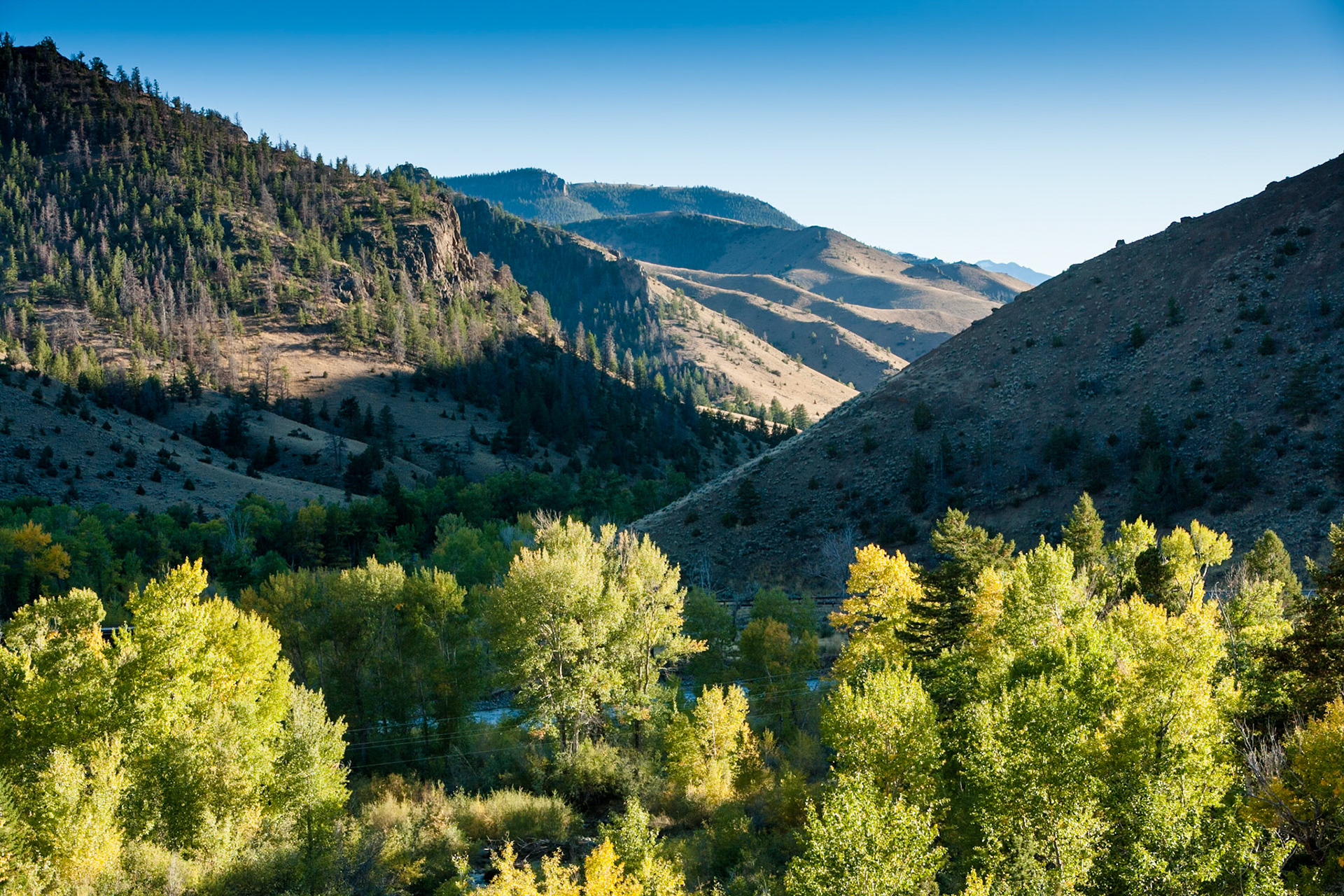 Scenery at Sweet Water Creek Rd, Shoshone National Forest, Wyoming, WY, USA