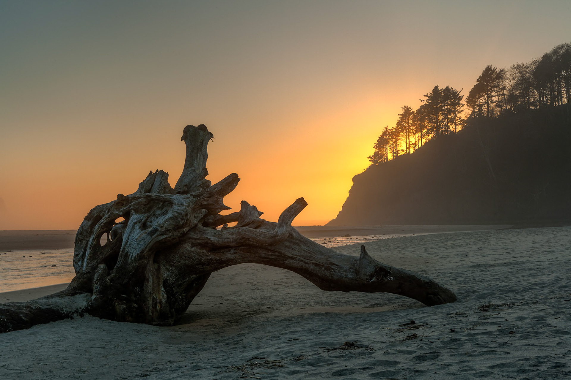 Driftwood at sunset at Proposal Rock at South Beach at Neskowin, OR, USA