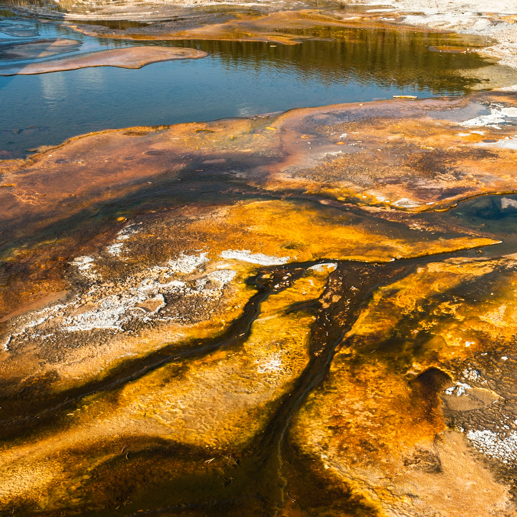 Sulfer makes graphic patterns at Upper Geyser Basin, Yellowstone Nat'l Park, WY, USA