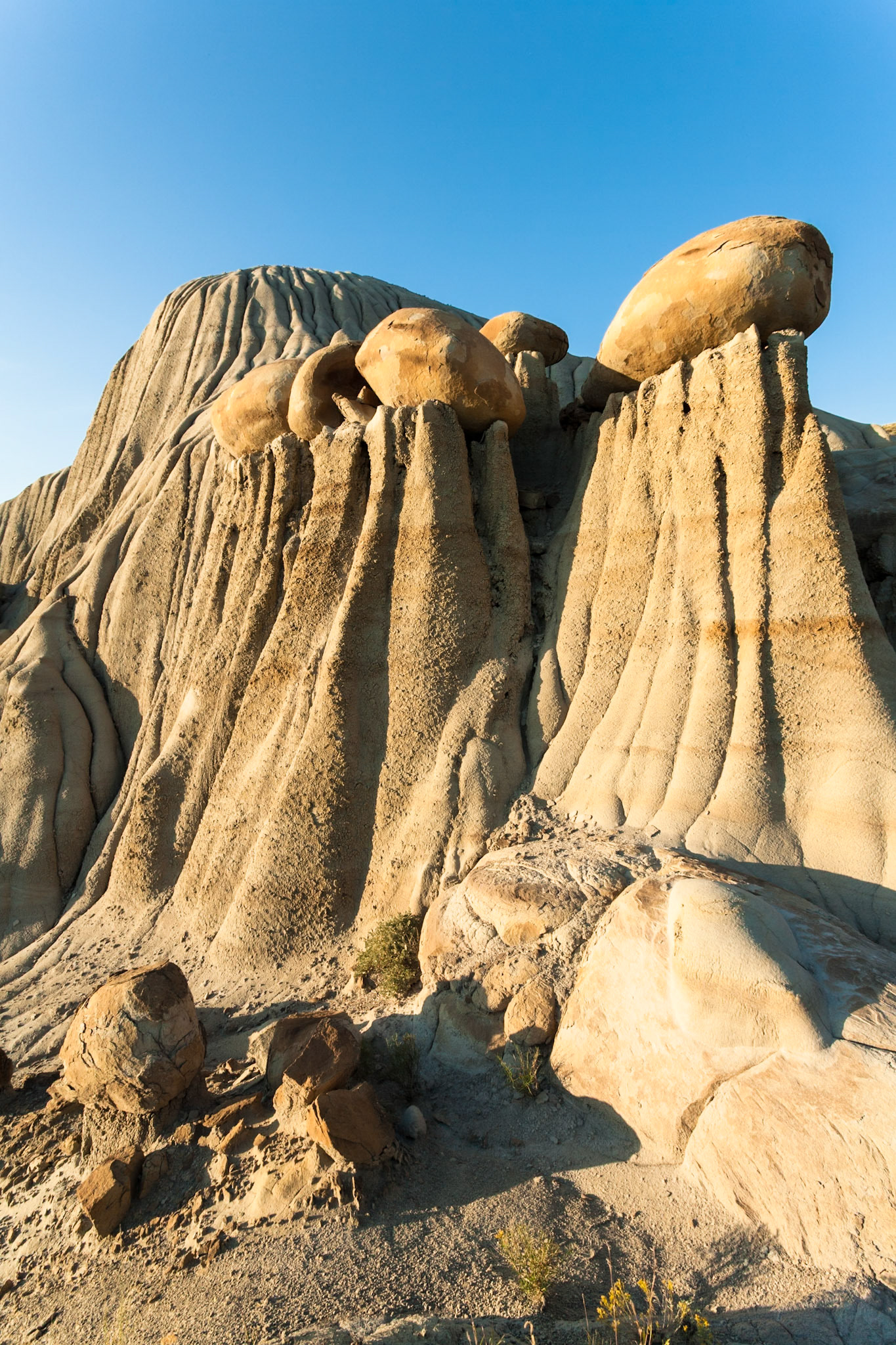 Hoodoos at Makoshika State Park at sunset, Montana, North America, USA