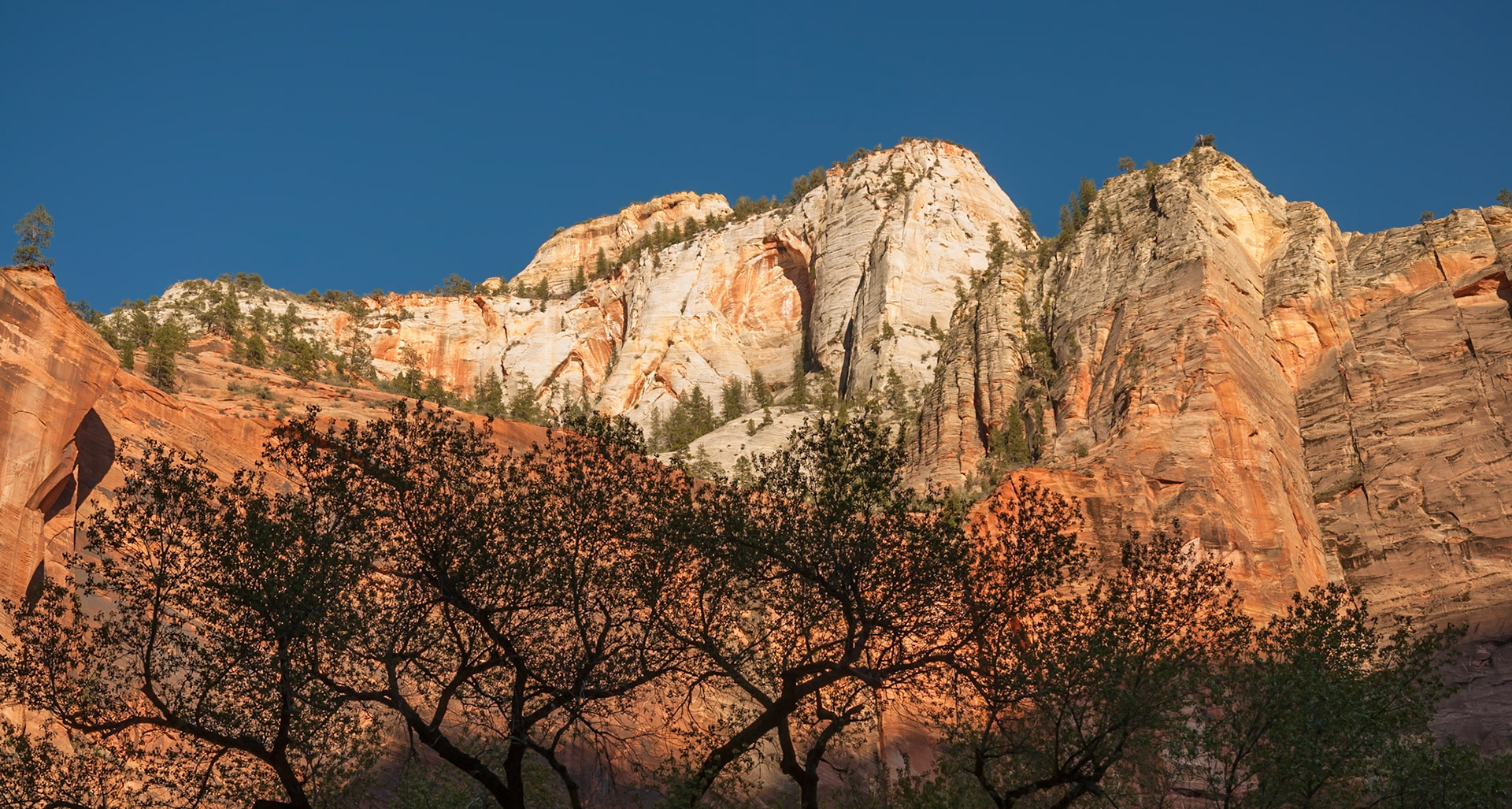 Zion National Park, Near Temple of Sinawava, UT, USA