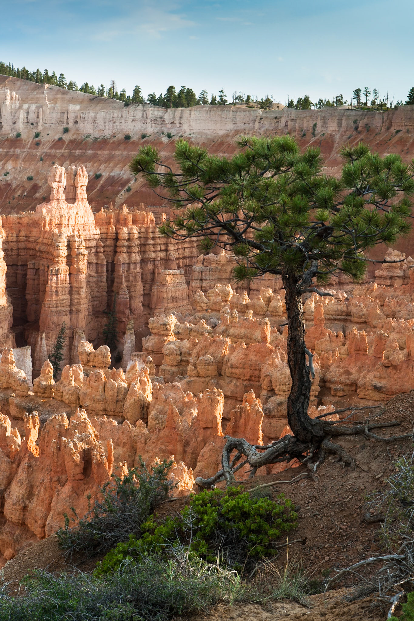 Bryce Canyon Sunset Point, UT, USA