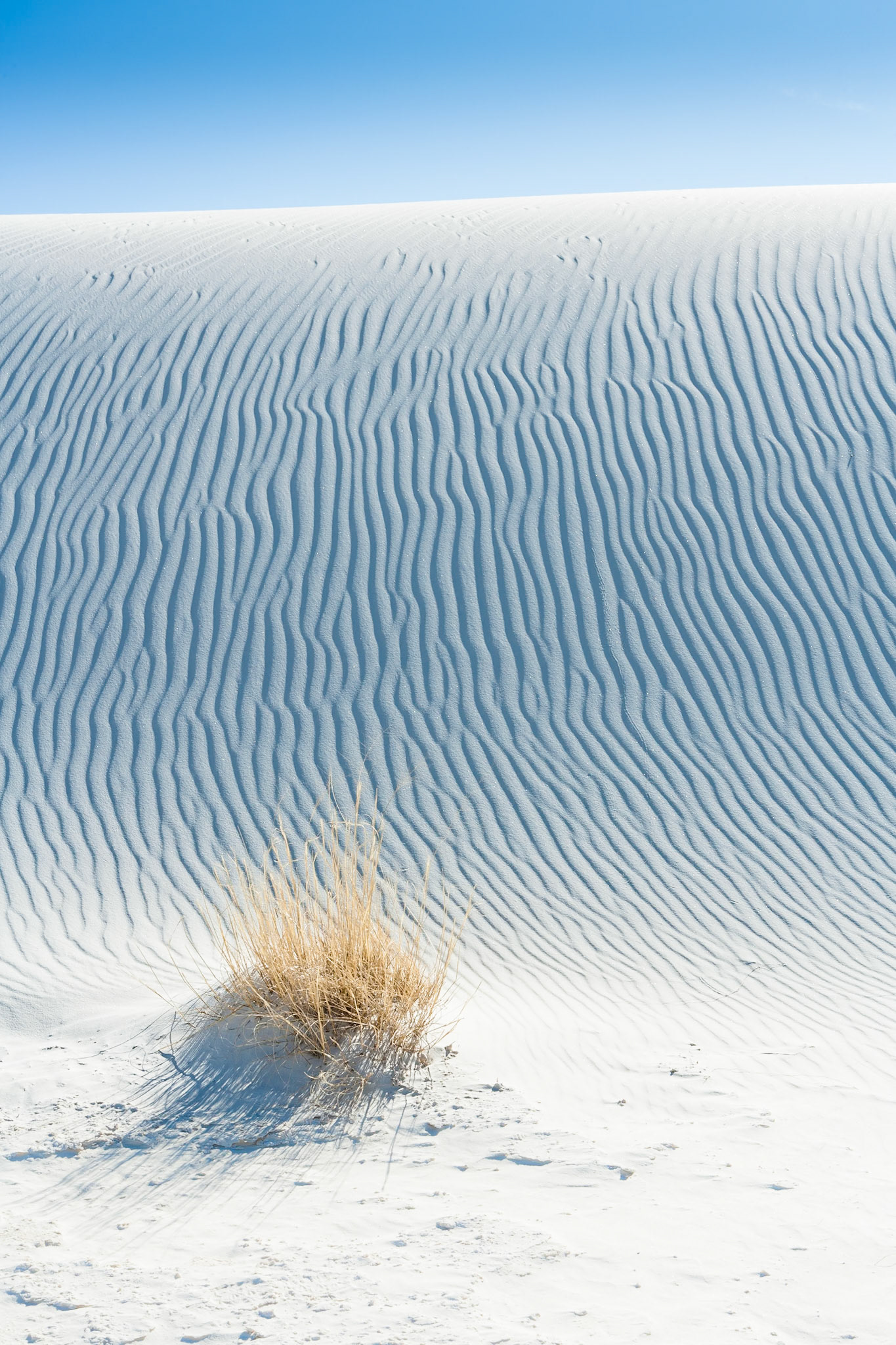 White Sand Dunes National Monument, New Mexico, USA
