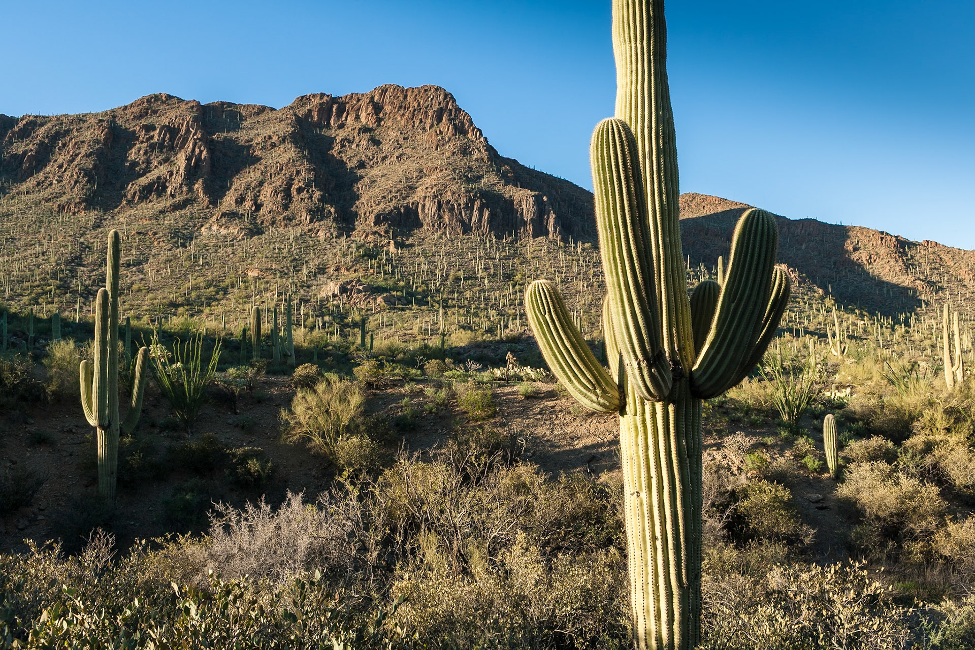 Gate Pass at Tucson Mountain Park, Arizona, USA
