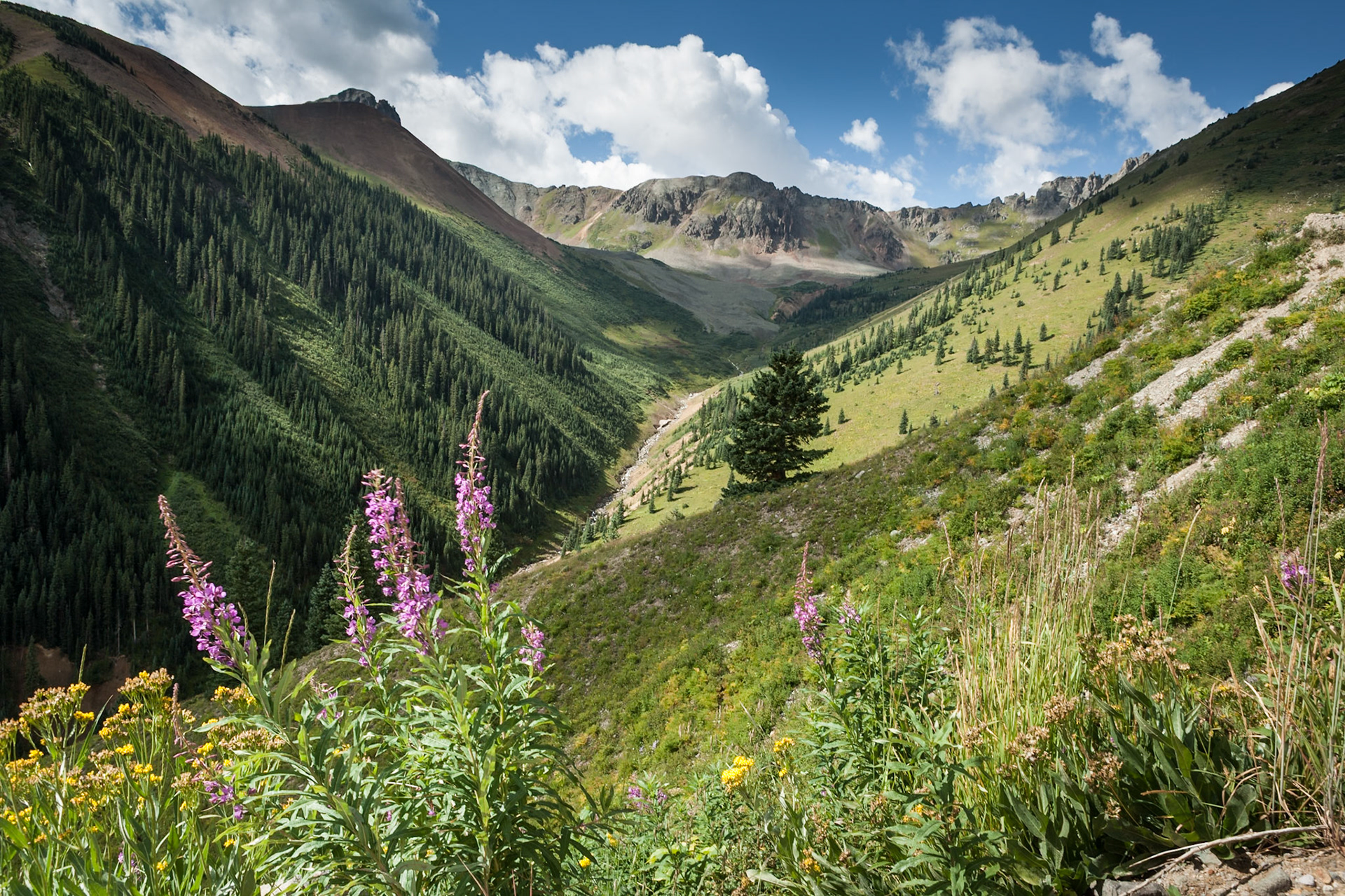 County Rd 8, Ophir Pass, From Silverton to Telluride, CO, USA