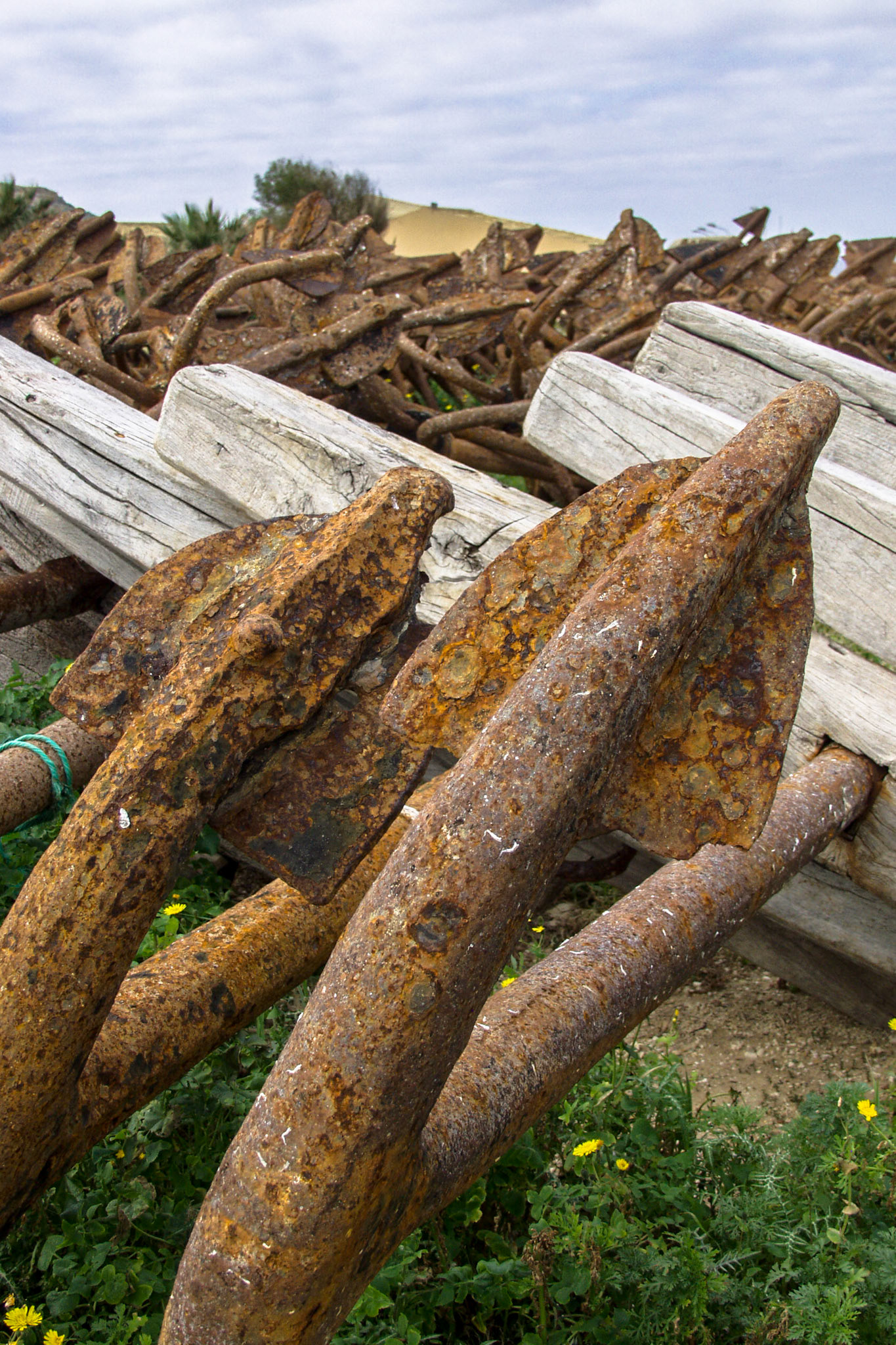 Old Anchers at Tonnaro