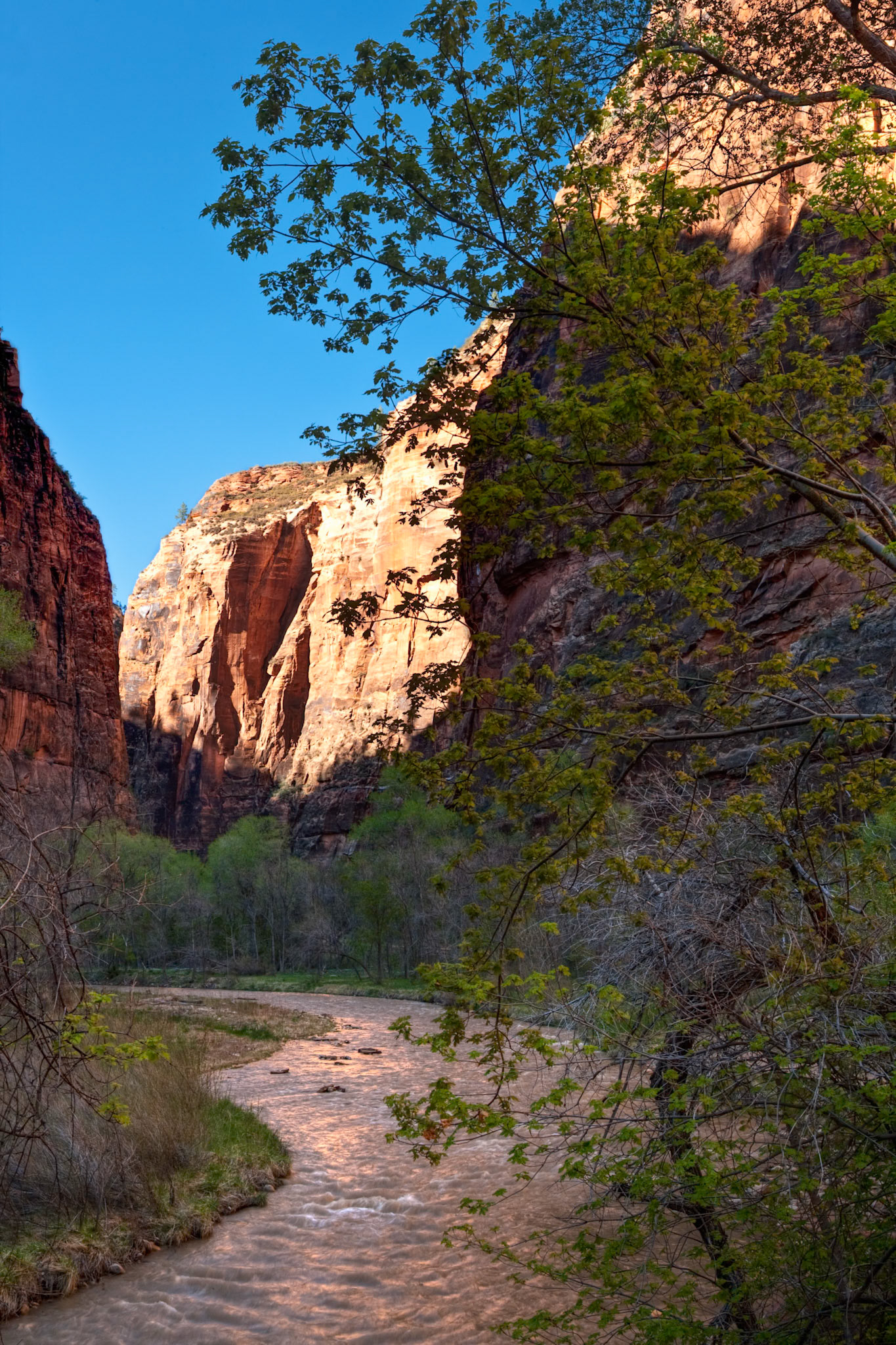 Zion National Park, North Fork Virgin River, UT, USA