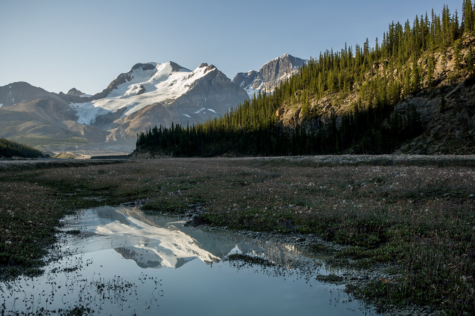 Mount Athabasca from Icefields Parkway, Jasper Nat'l Park, Alberta, CA
