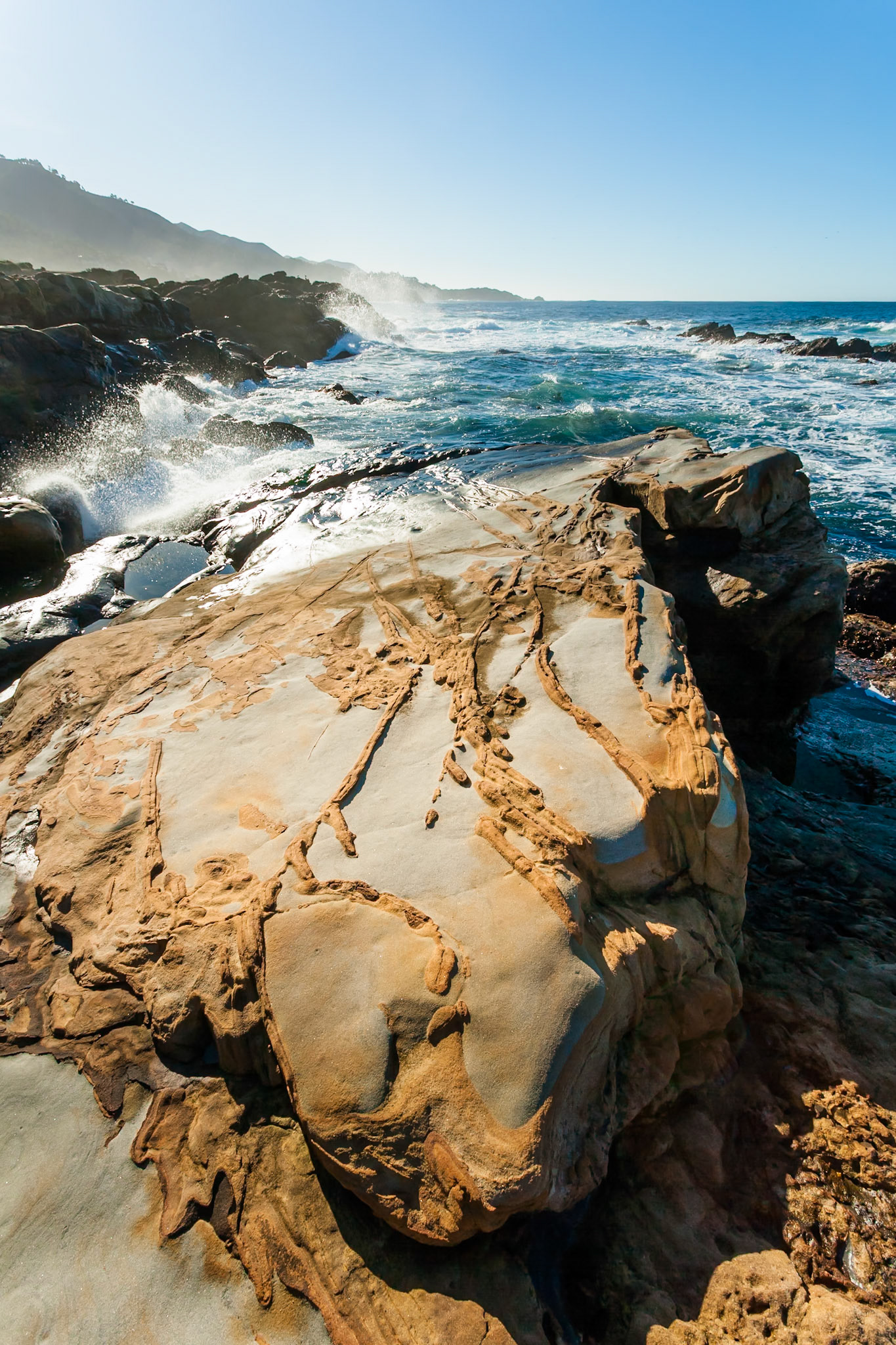 Point Lobos State Reserve near Carmel, California, USA