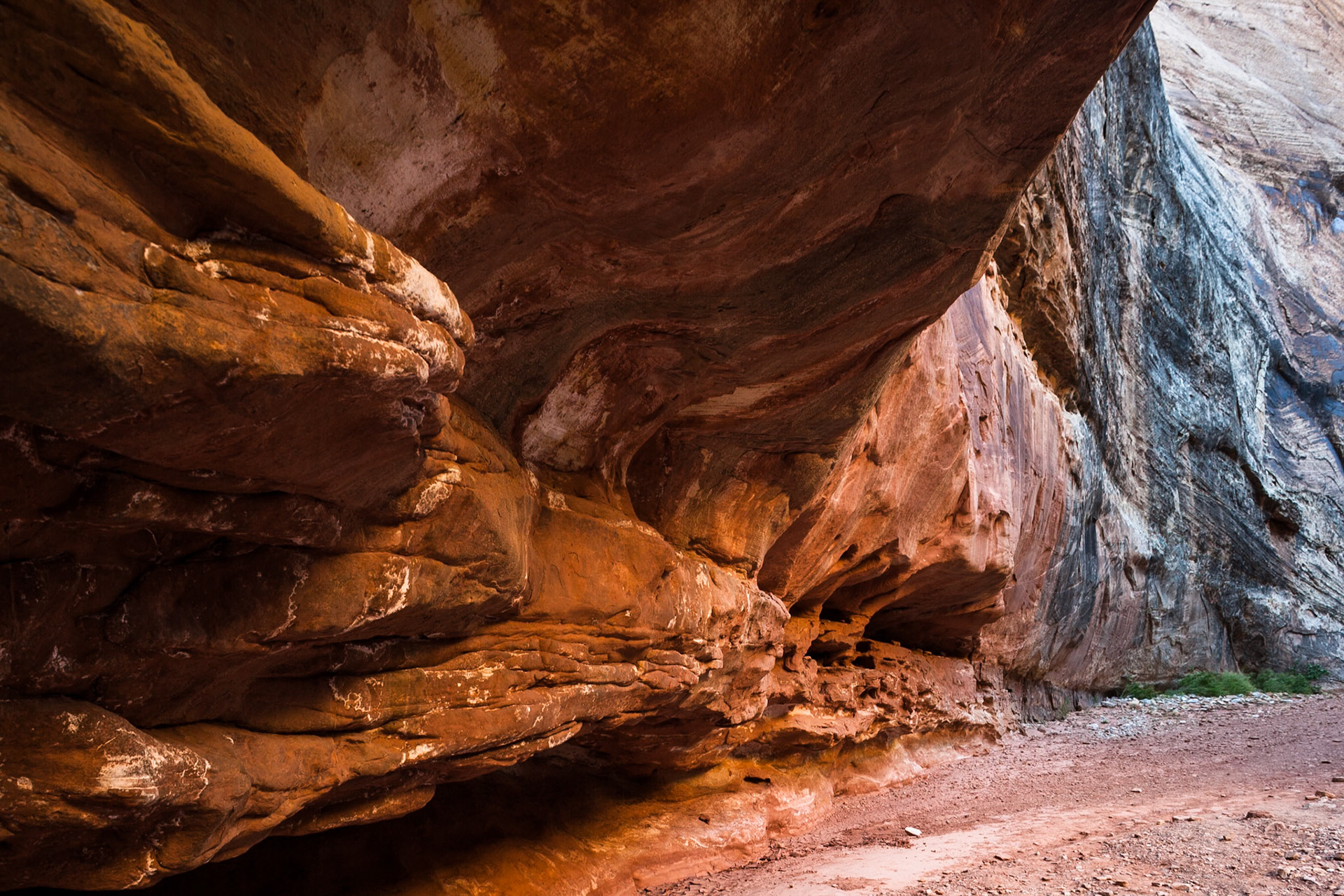 The Narrows at Grand Wash, Capitol Reef Nat'l Park, UT, USA