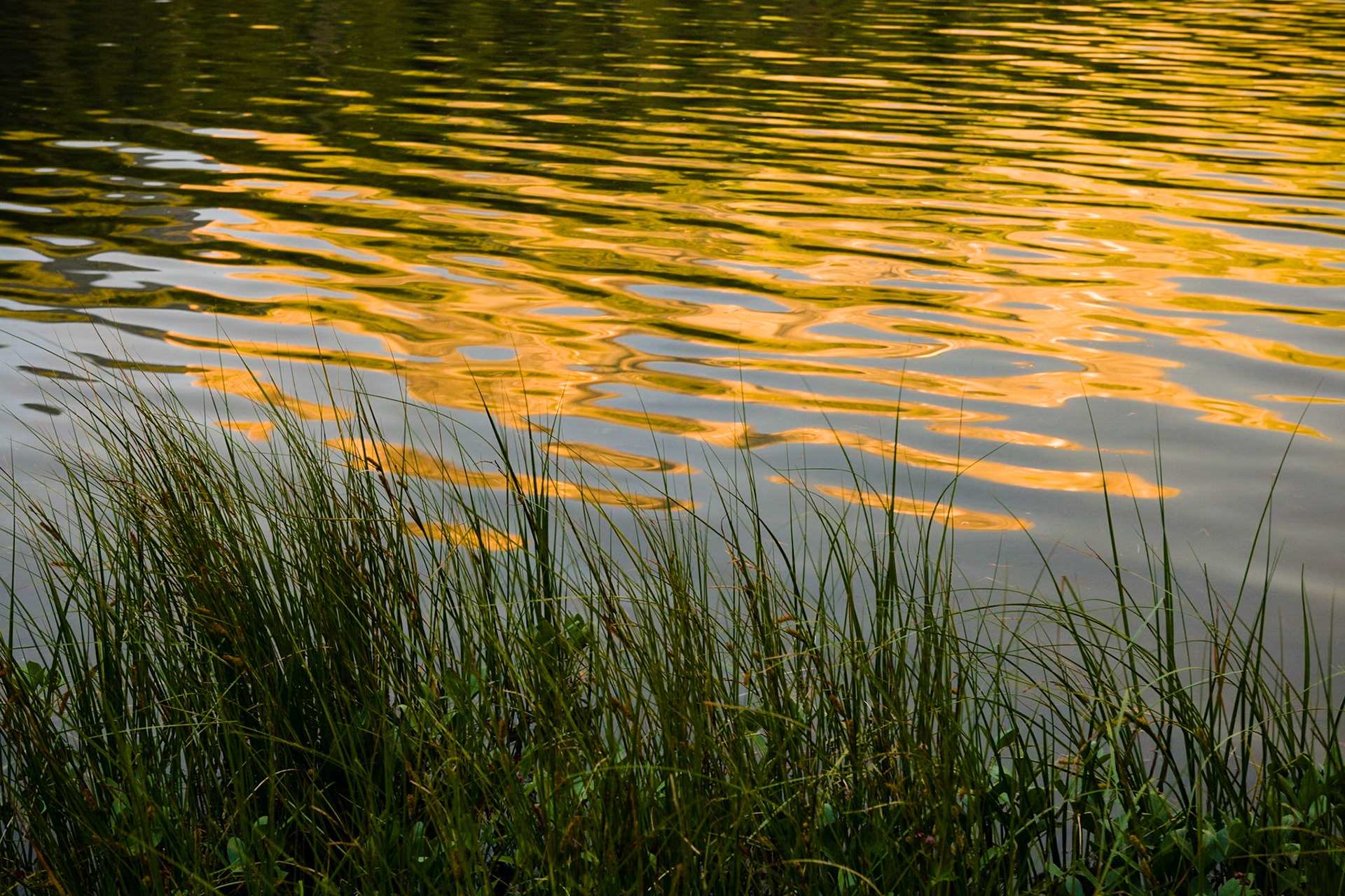 Honeymoon Lake, Jasper National Park, Alberta, CA