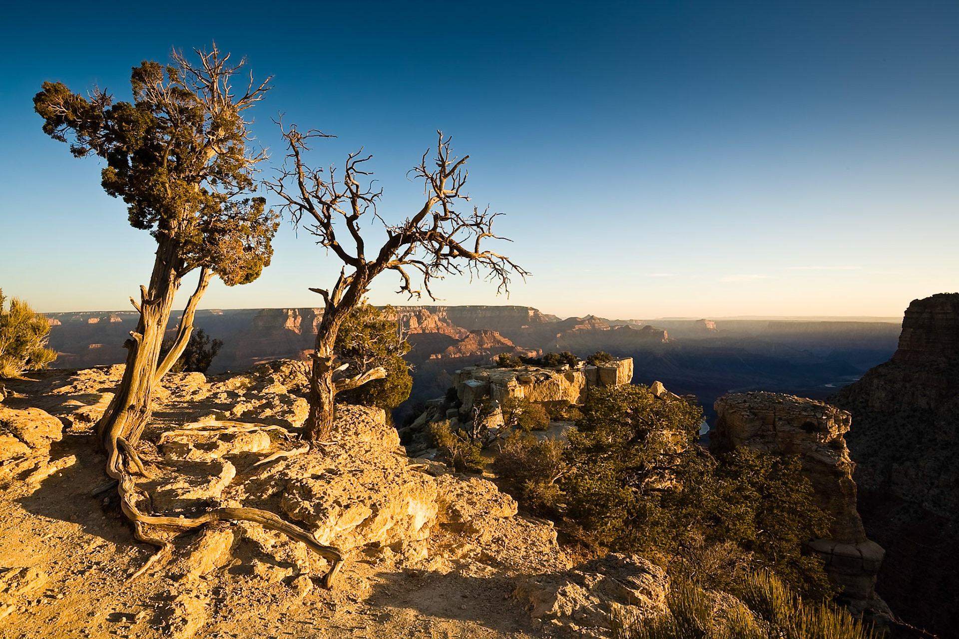Grand Canyon, Lipan Point, Arizona
