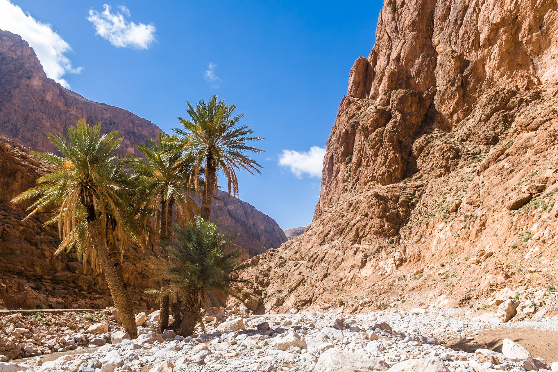 Gorges du Dades near Tinerhir, Morocco