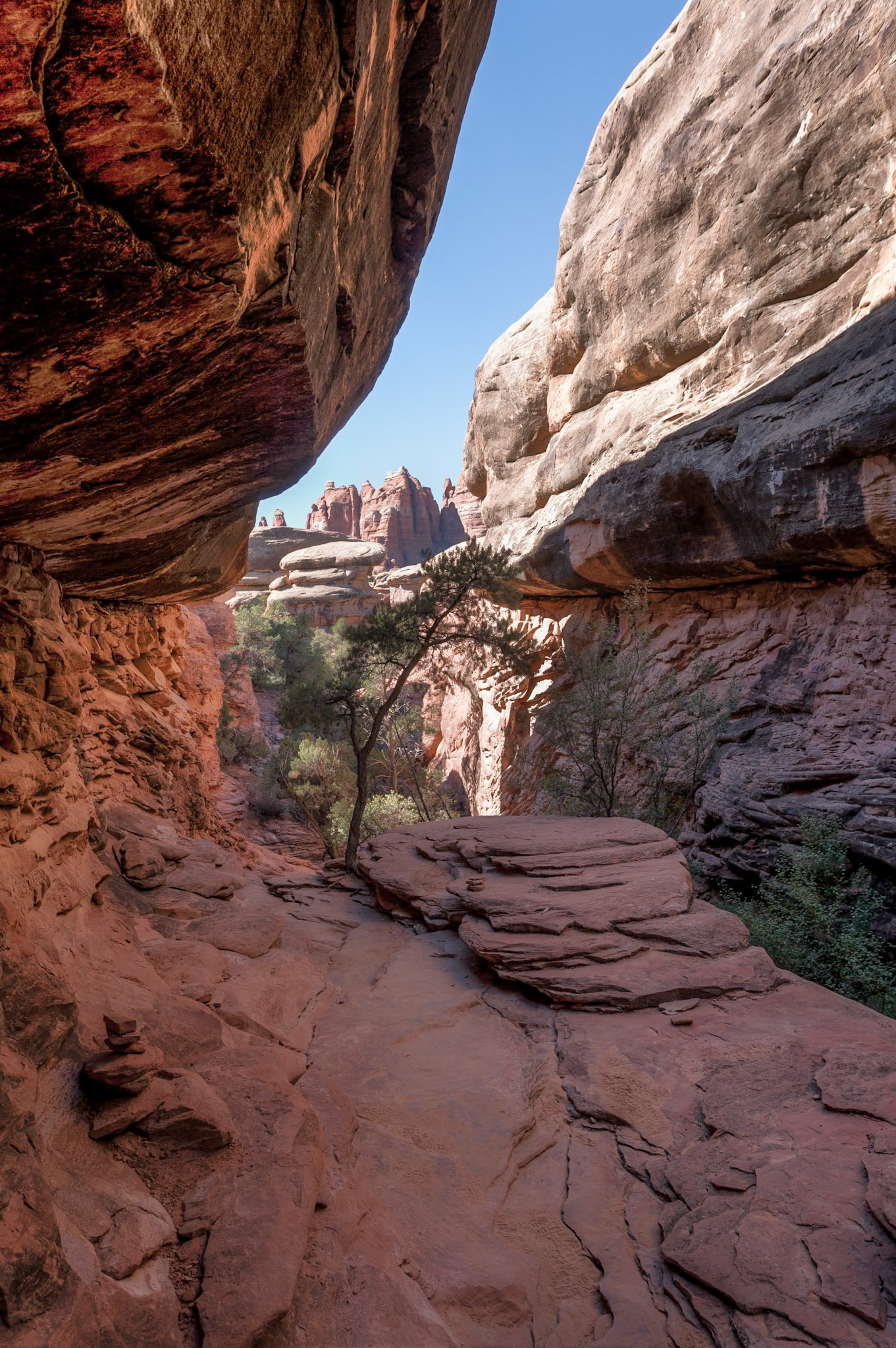 Squaw Flat Loop Trail, Canyon Lands NP, UT
