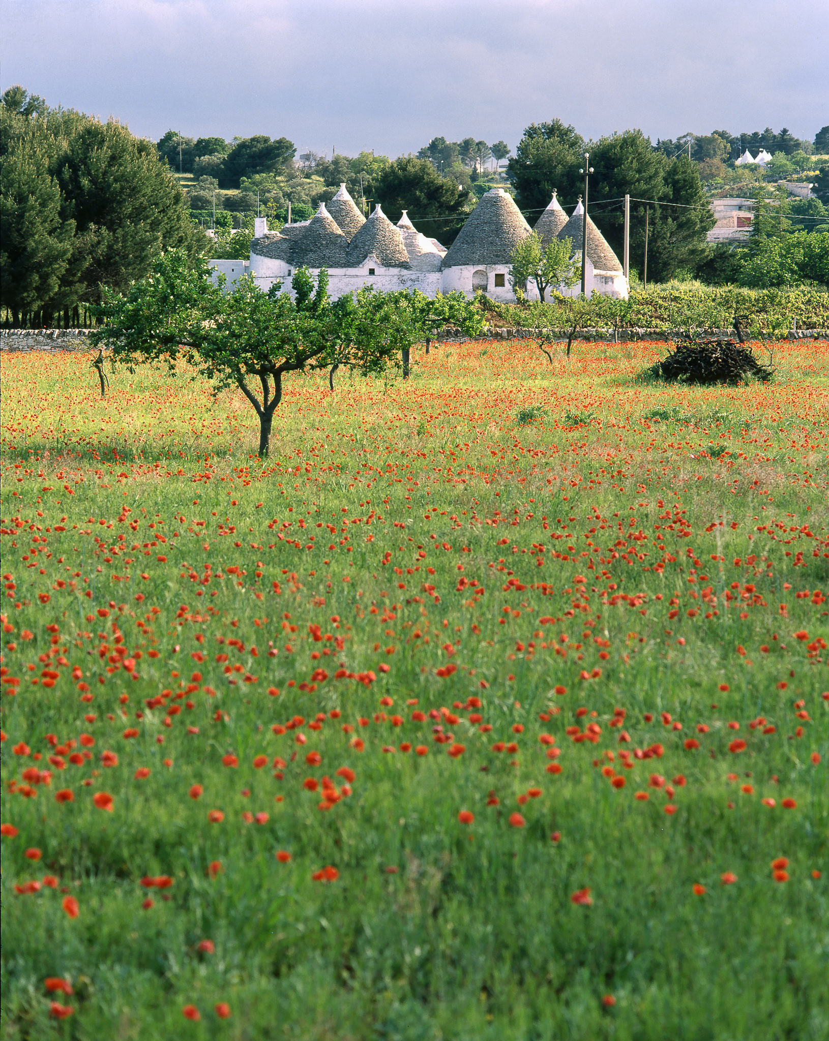 Trully houses at Alberobello