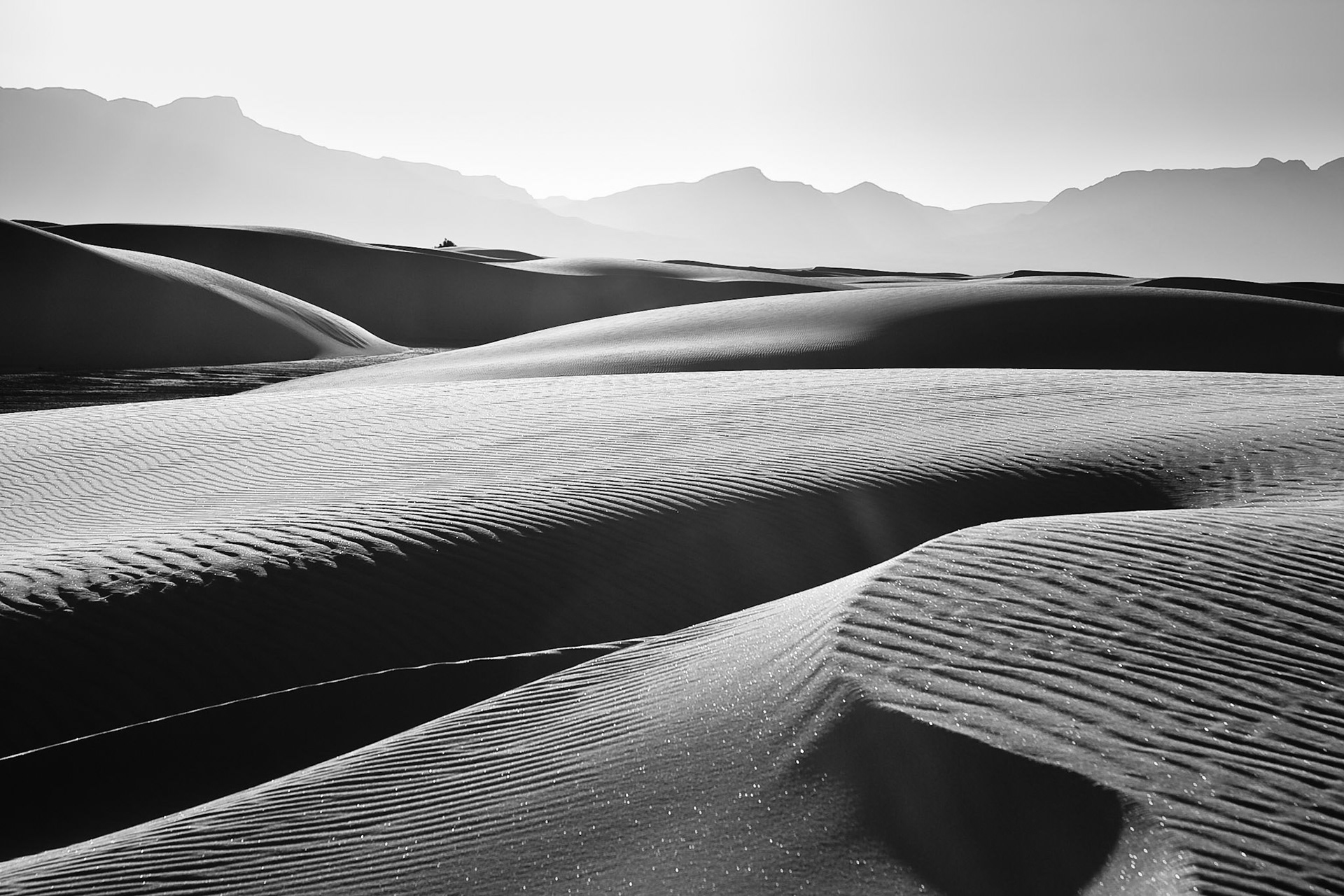 Graphical lines in a black and white photo at White Sand Dunes National Monument, New Mexico, USA