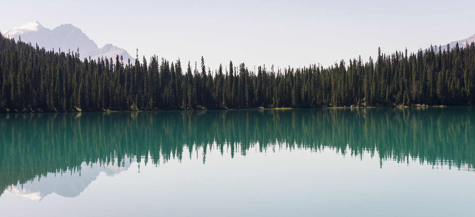 Tree line reflects in Emerald Lake, Yoho National Park, BC, CA